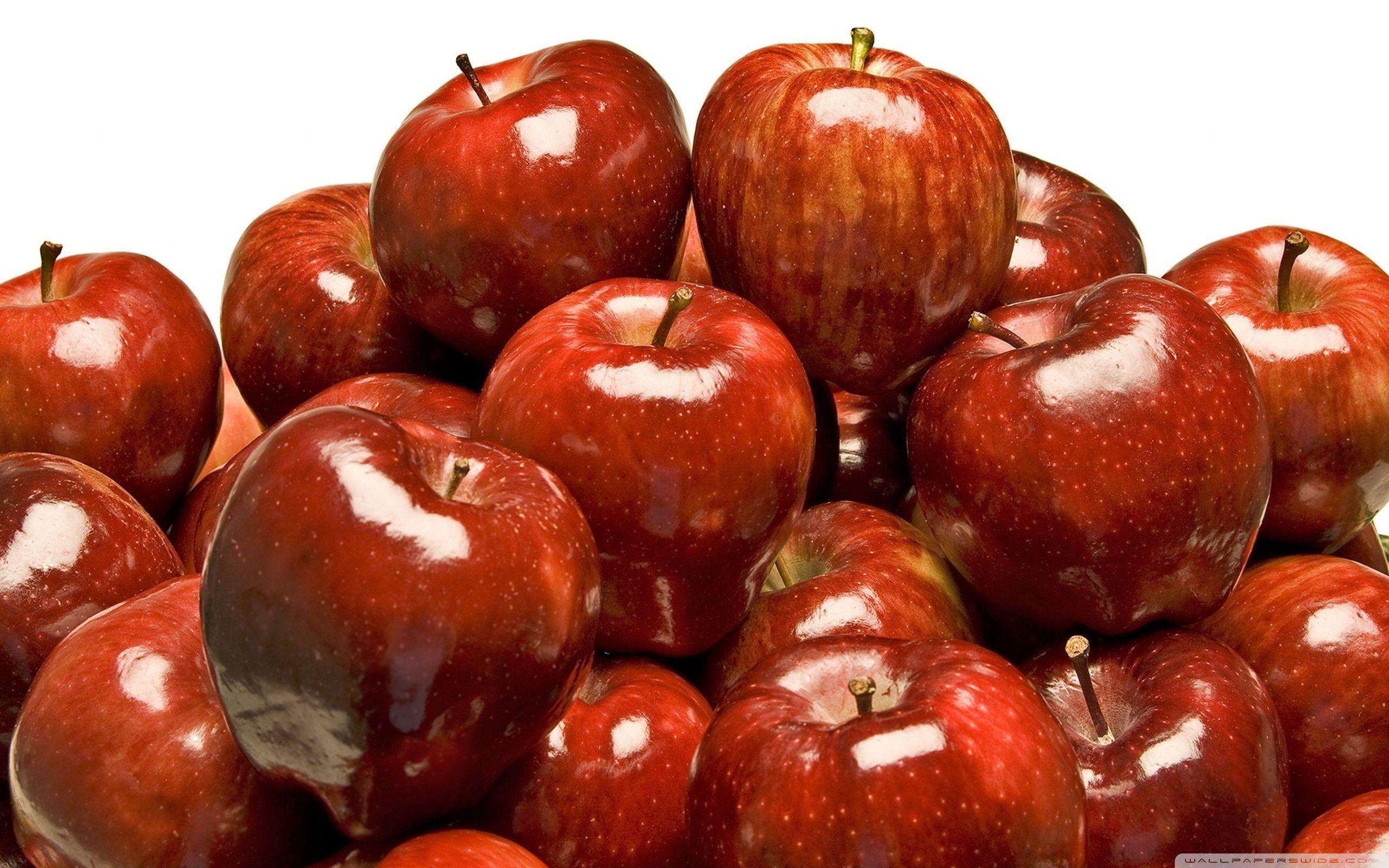 2560x1600 Shiny Red Apples Ultra HD Desktop Background Wallpaper for 4K UHD TV : Multi Display, Dual Monitor