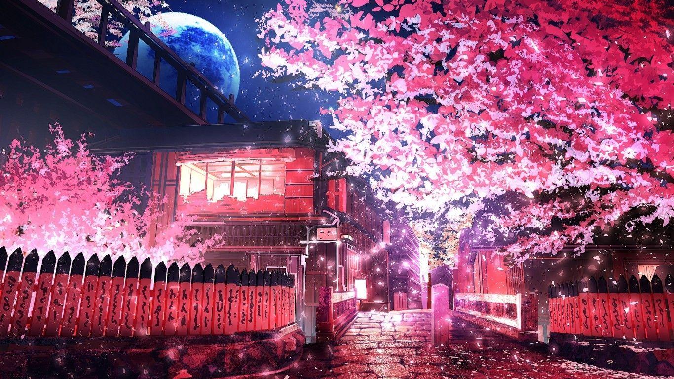 1366x768 Download 1366x768 Anime Landscape, Sakura Blossom, Night, Petals, Scenery, Polychromatic Wallpaper for Laptop, Notebook