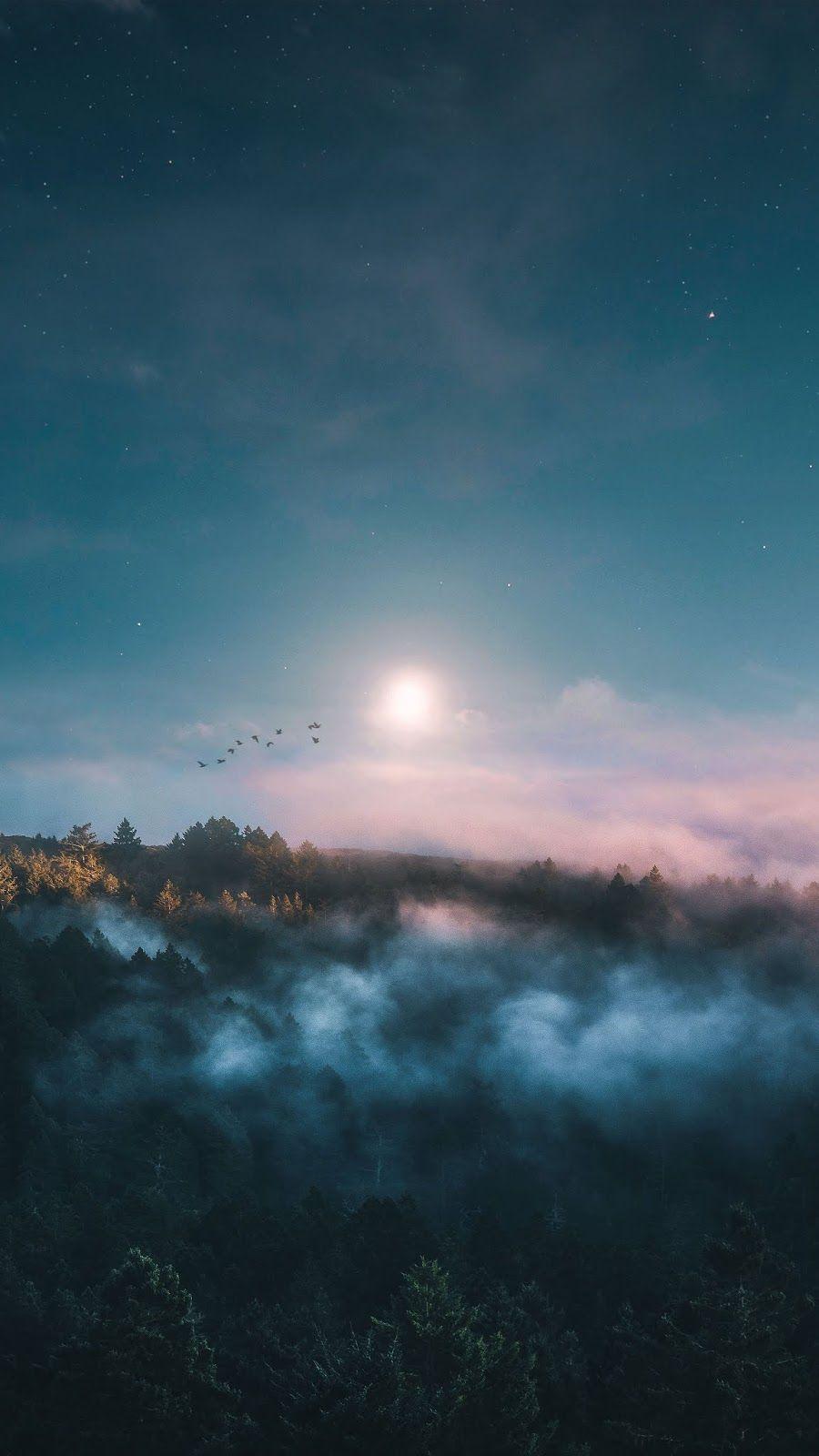 900x1600 Twilight. Nature iphone wallpaper, Nature photography, Nature wallpaper