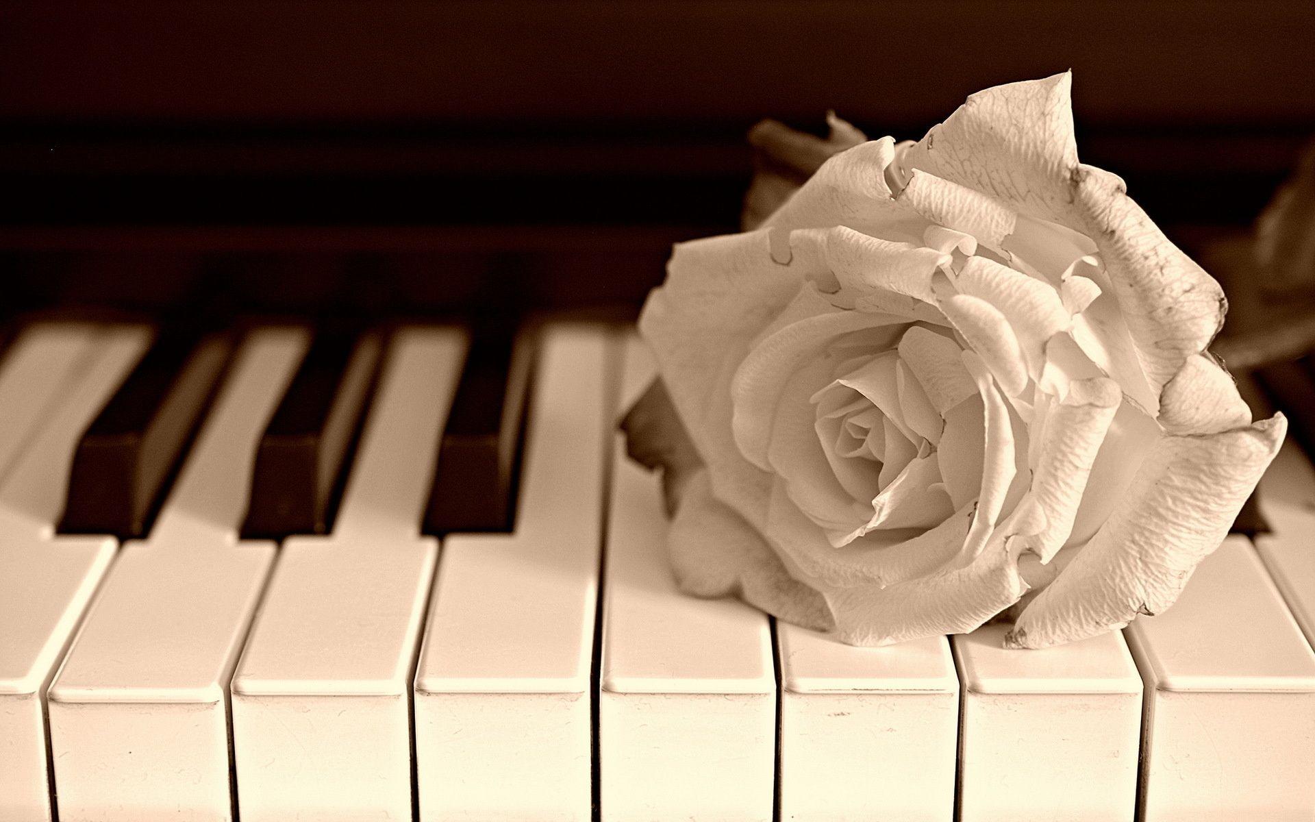 1920x1200 Free download HD Piano Background [1920x1200] for your Desktop, Mobile & Tablet. Explore Piano Wallpaper. Piano Wallpaper, Piano Wallpaper, Background Piano
