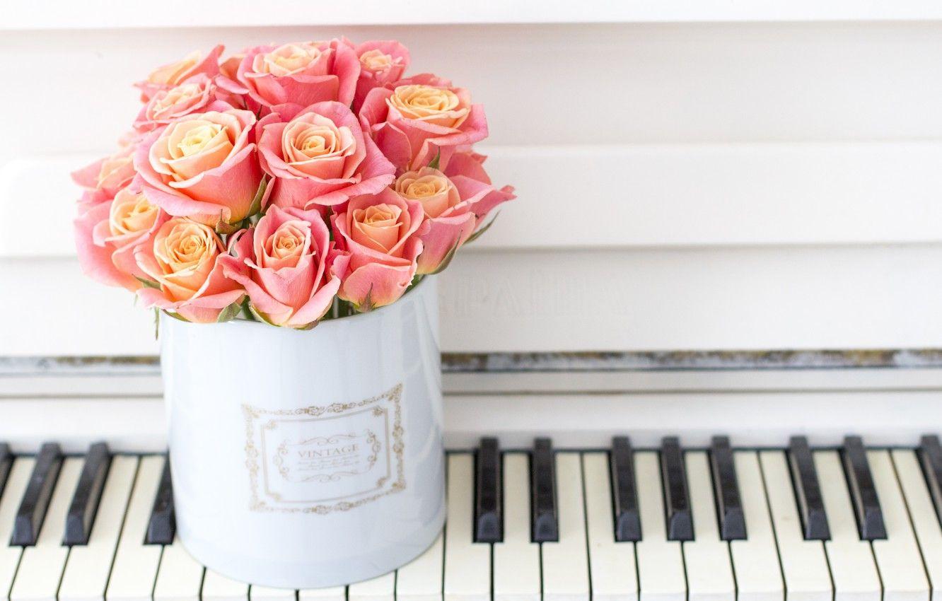 1332x850 Wallpaper love, flowers, box, roses, bouquet, piano, love, piano, pink, flowers, romantic, roses, cute image for desktop, section цветы