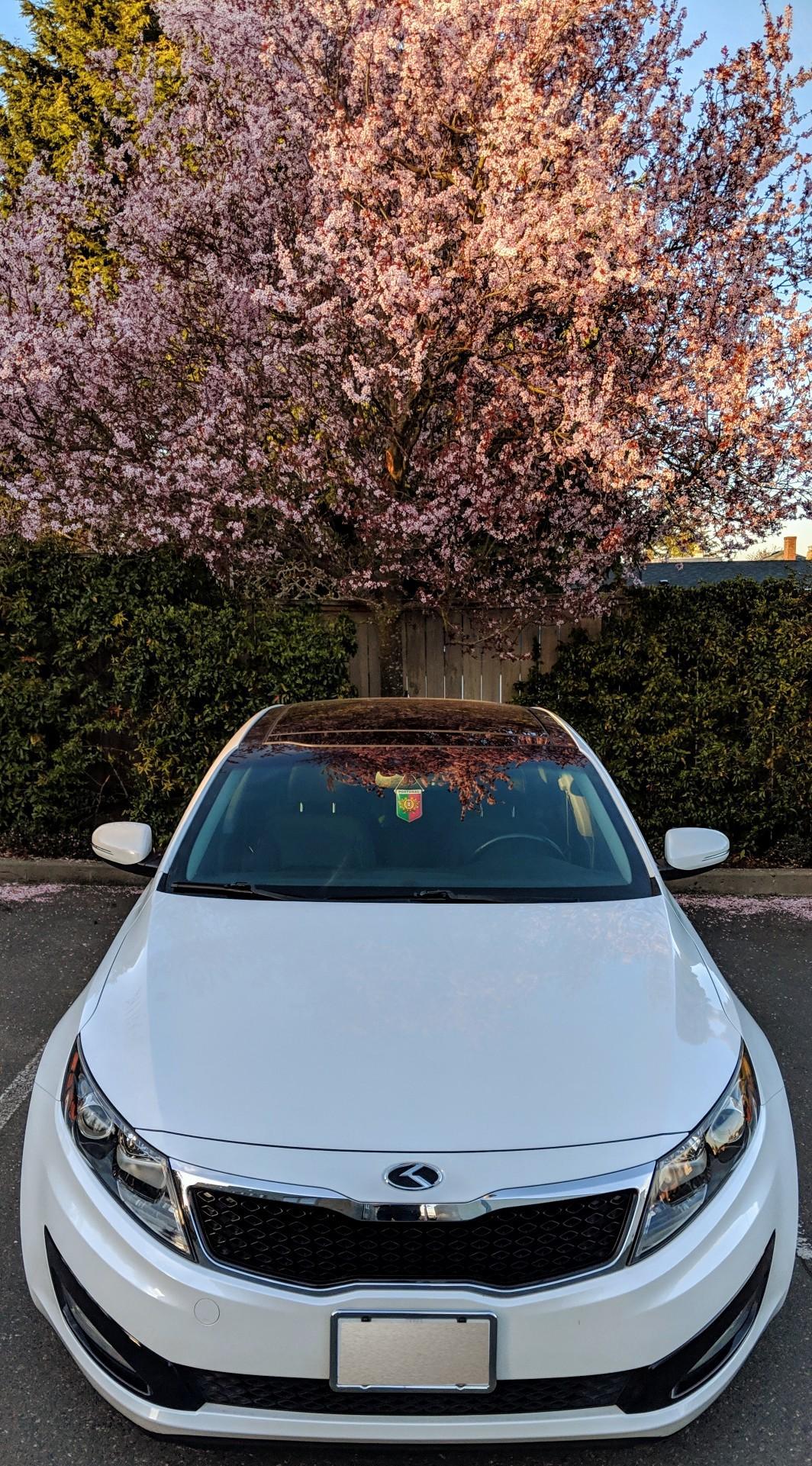 1064x1921 Kia Optima Wallpaper Mobile