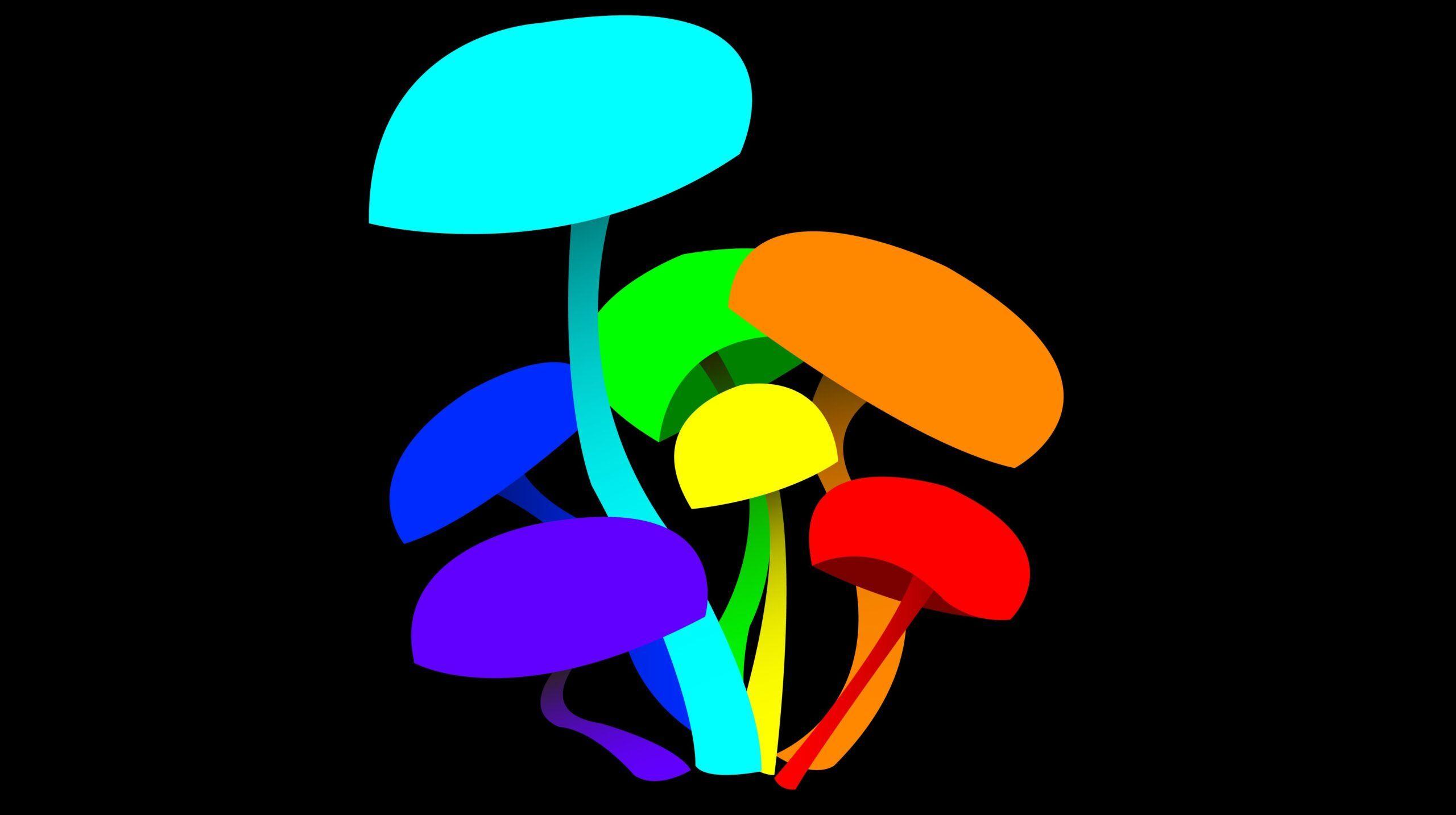 2560x1434 Mushroom, House, Electronica, HD Wallpaper, Industrial, Imush, Windows, Artwork, Psychedelic, iPhone Xr, Disc, Trance, Electronic, Electro Fantasy, Jockey, infected