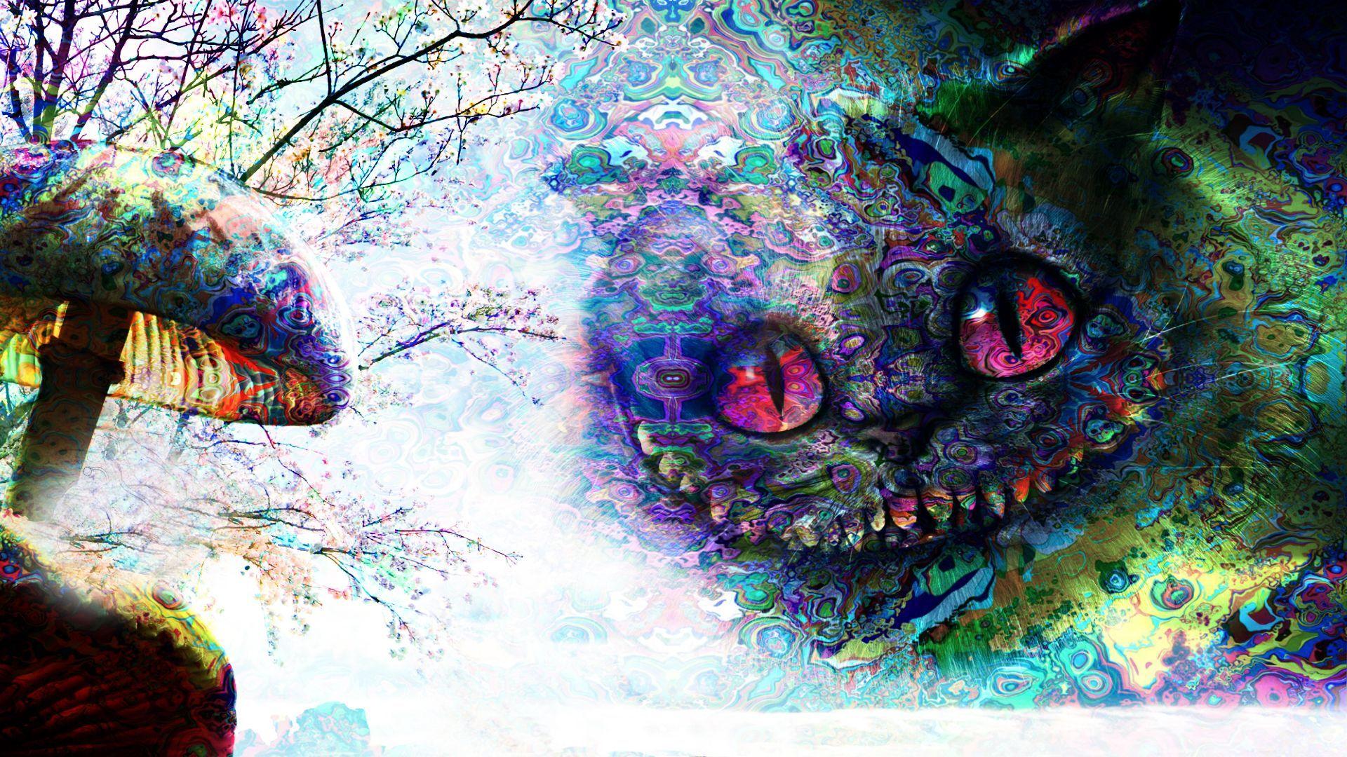 1920x1080 General 1920x1080 psychedelic trippy Alice in Wonderland Cheshire Cat mushroom. Cheshire cat wallpaper, Cat background, Trippy cat