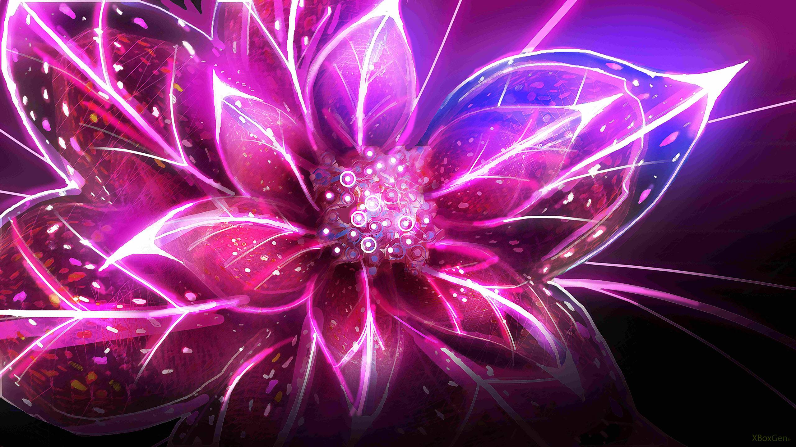 2560x1440 Flowers Wallpaper