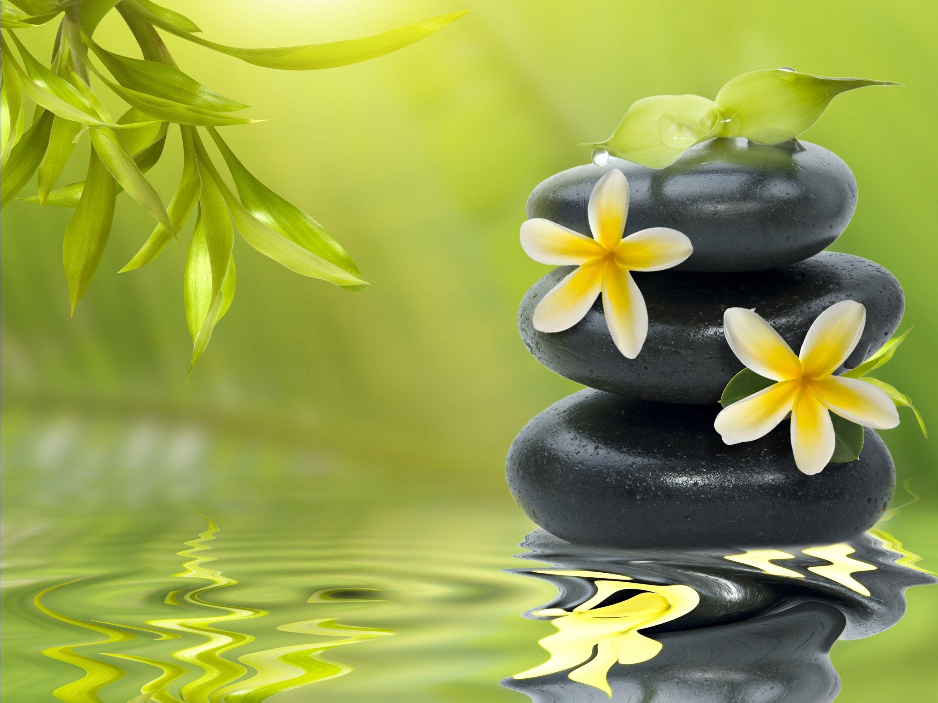 3200x2400 zen, Mood, Bokeh, Garden, Buddhism, Religion Wallpaper HD / Desktop and Mobile Background