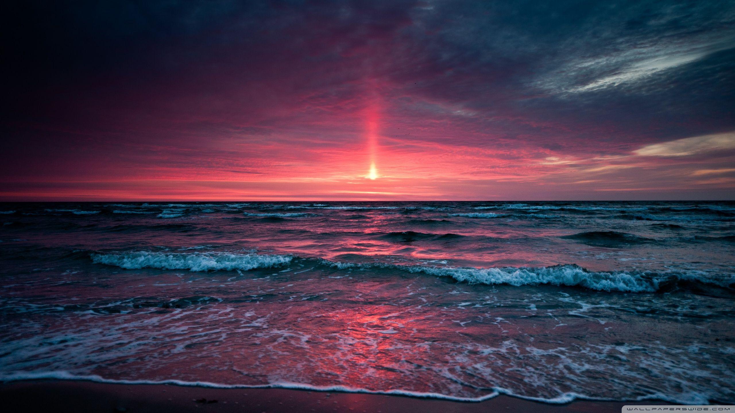 2560x1440 Sunset wallpaperx1440