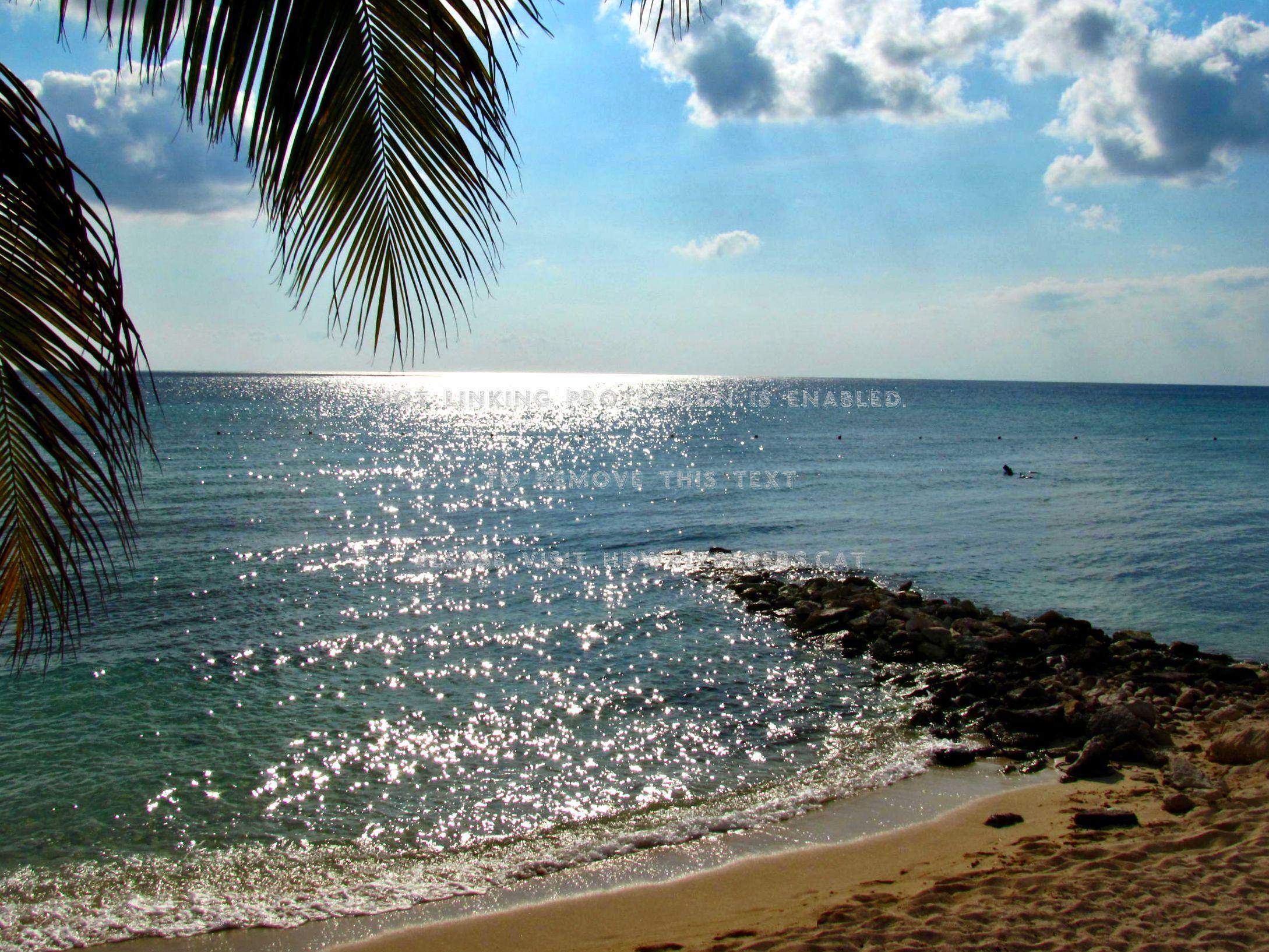 2178x1634 before the sunset nature sky trees cozumel