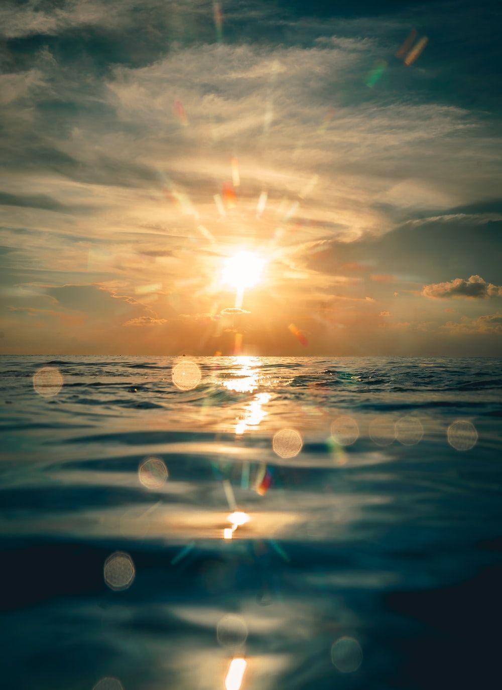 1000x1375 Cozumel Picture. Download Free Image