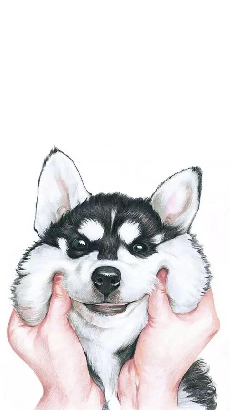 735x1308 Cute Husky Dog Wallpaper Wallpaper : iPhone Wallpaper