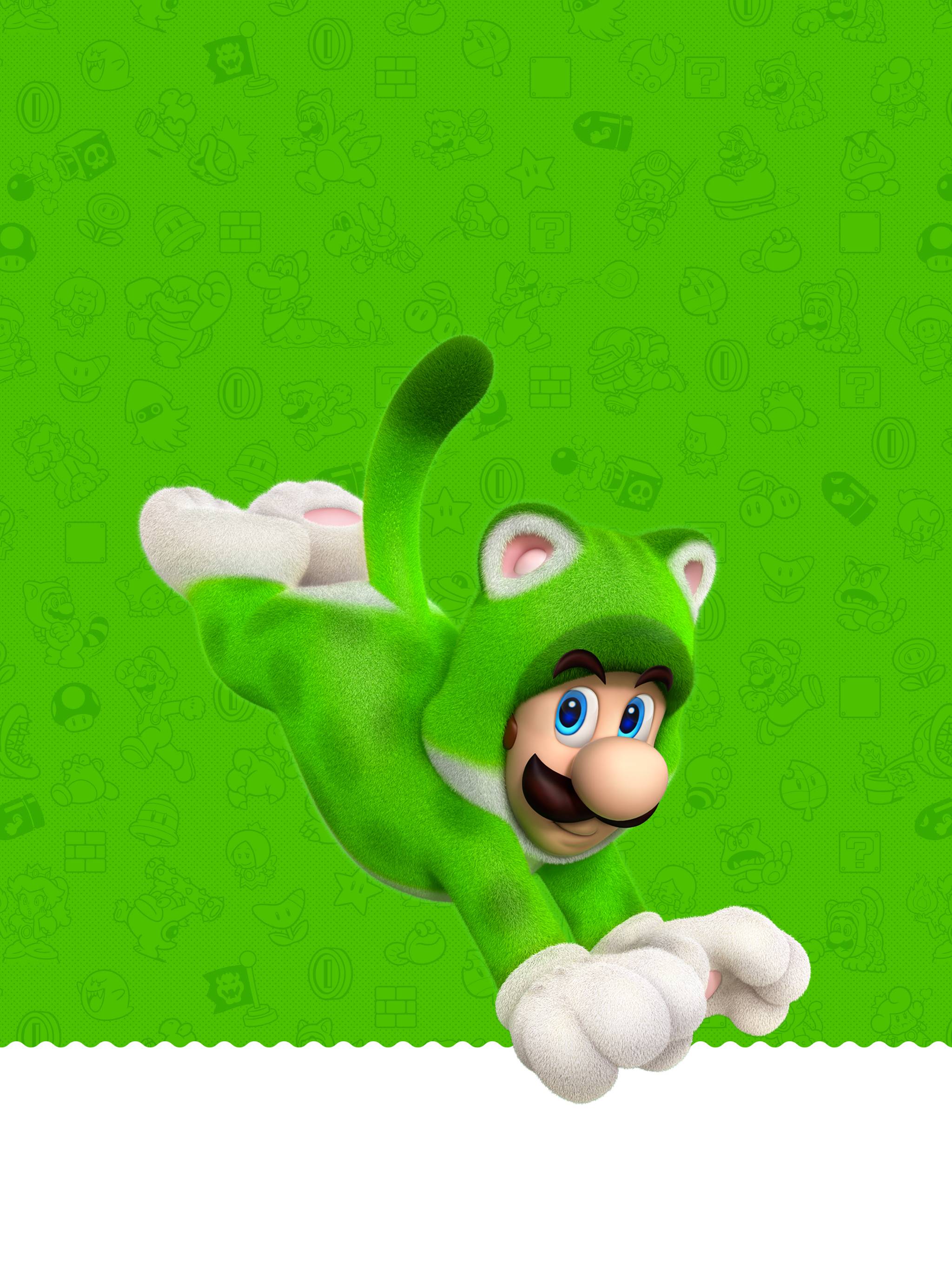 2048x2732 Super Mario 3D World Luigi Wallpaper. Cat with Monocle
