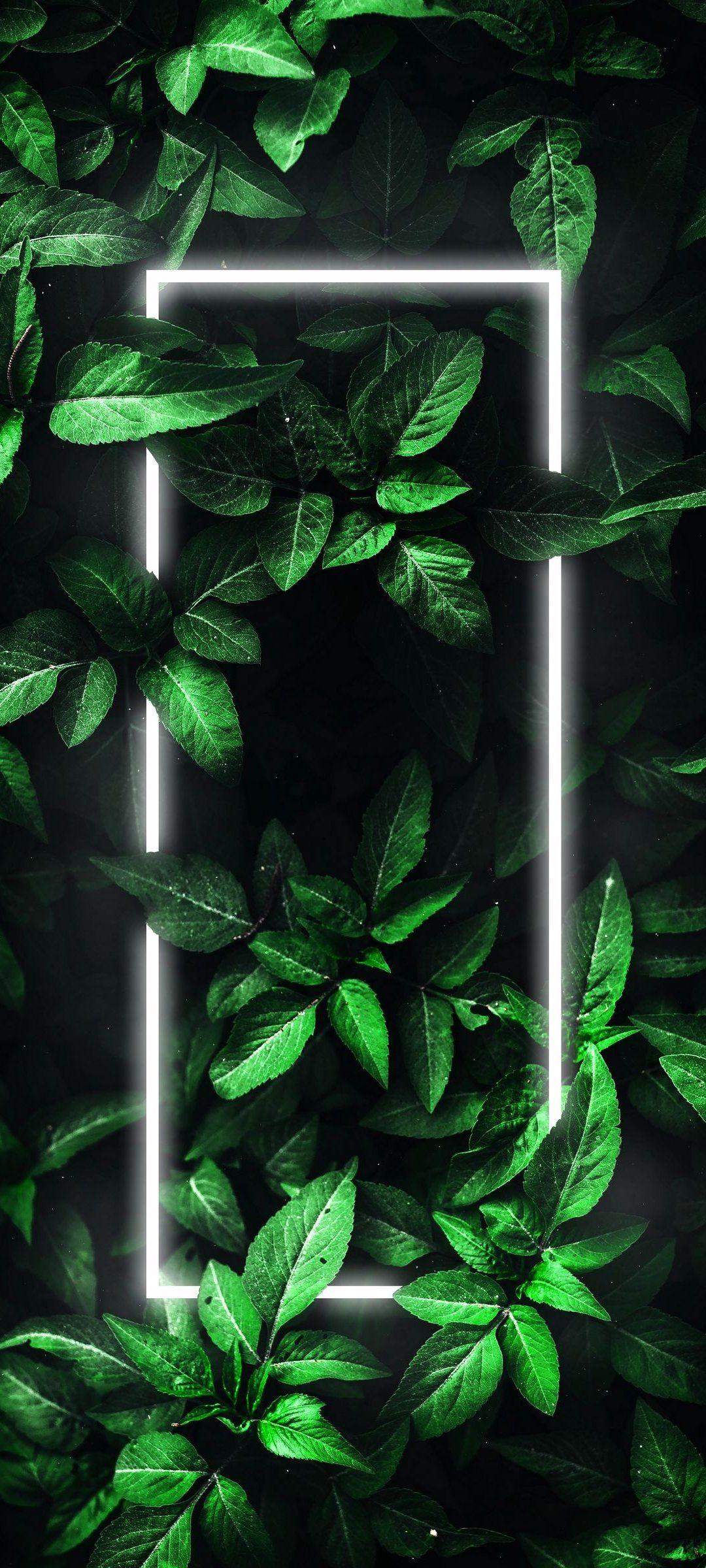 Neon Plants Wallpapers - Top Free Neon Plants Backgrounds - WallpaperAccess