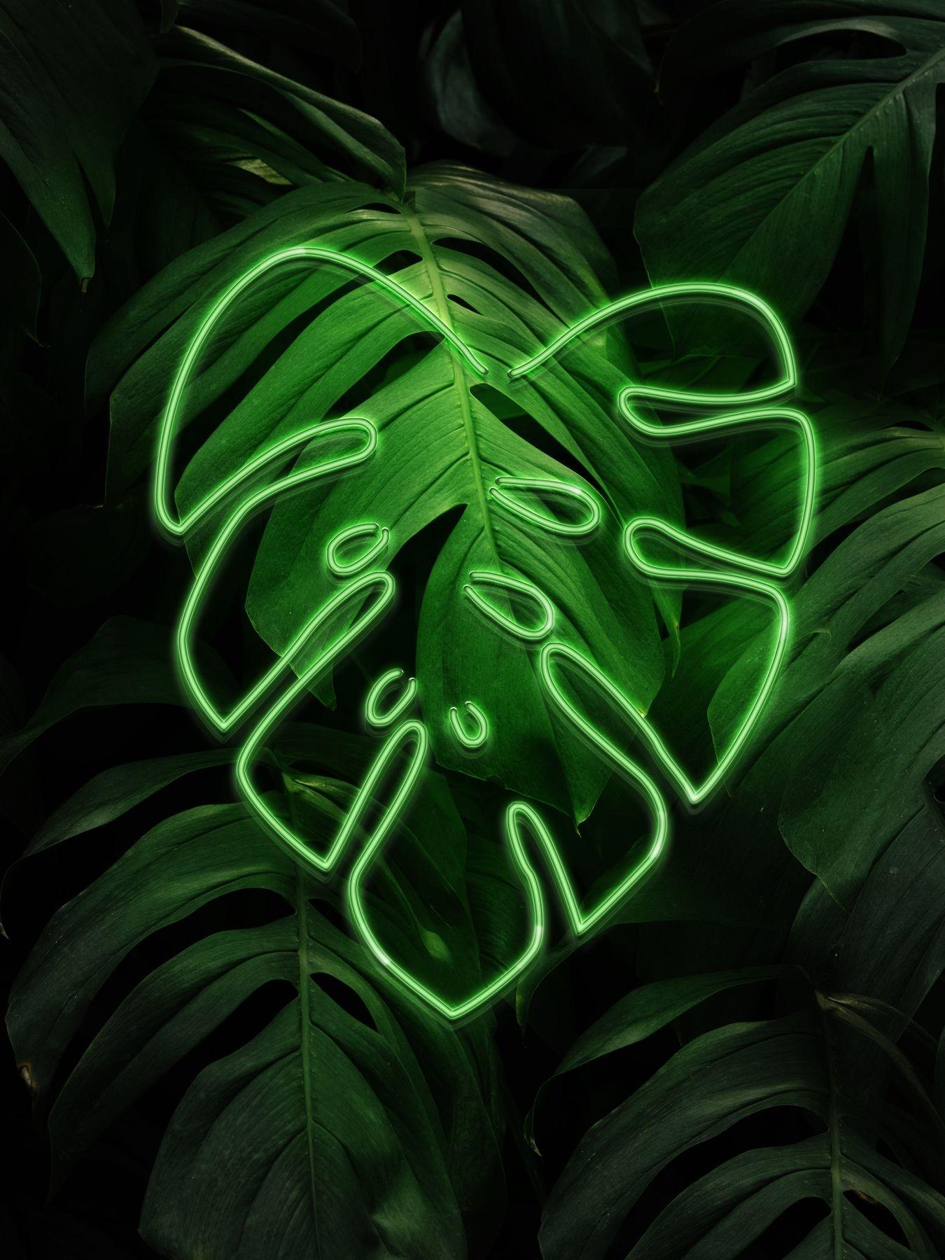 Neon Plants Wallpapers - Top Free Neon Plants Backgrounds - WallpaperAccess