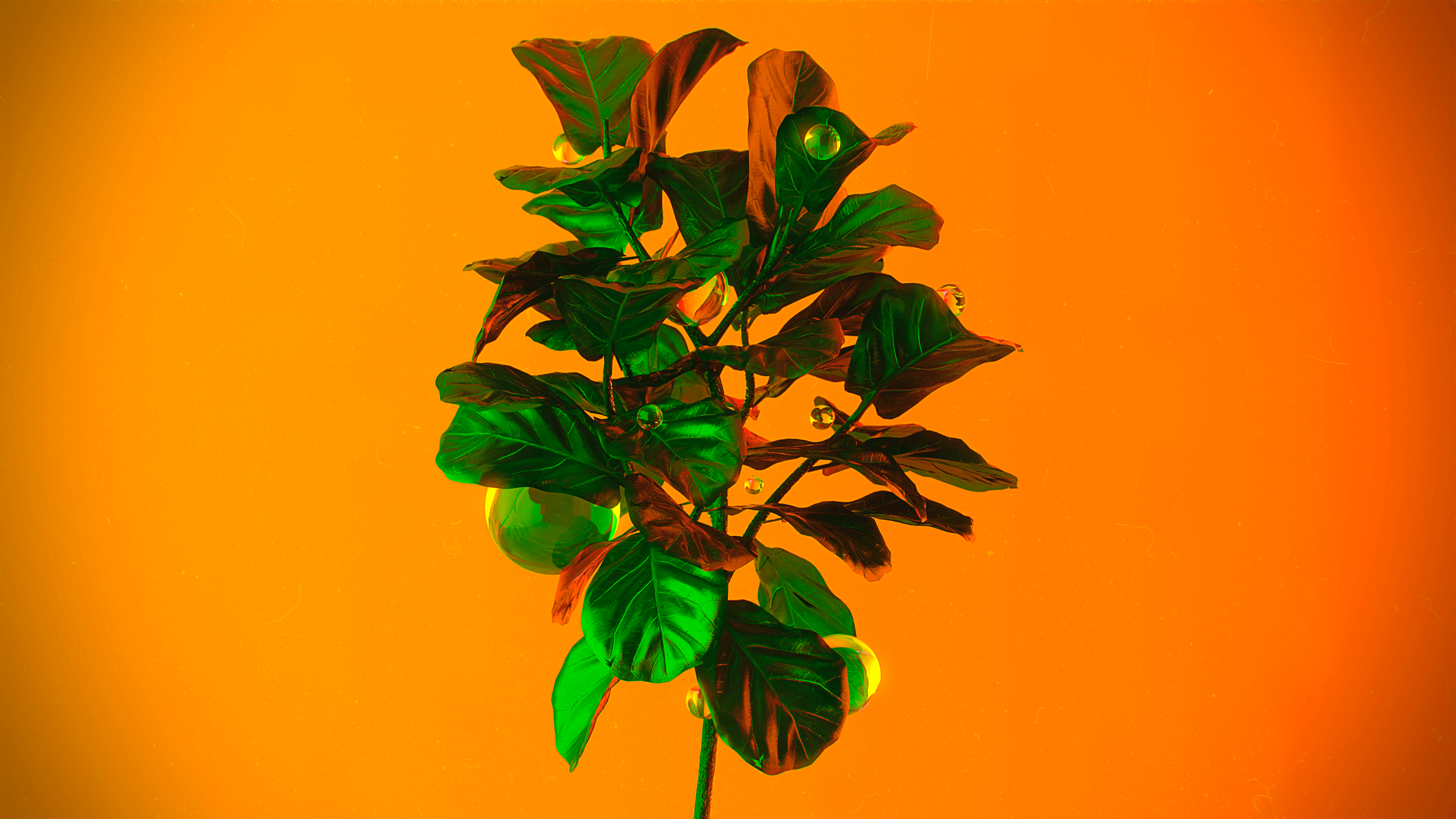 3840x2160 CGi Digital Art Render Rendering Neon Plants Ball Glass Leaves Wallpaper:3840x2160