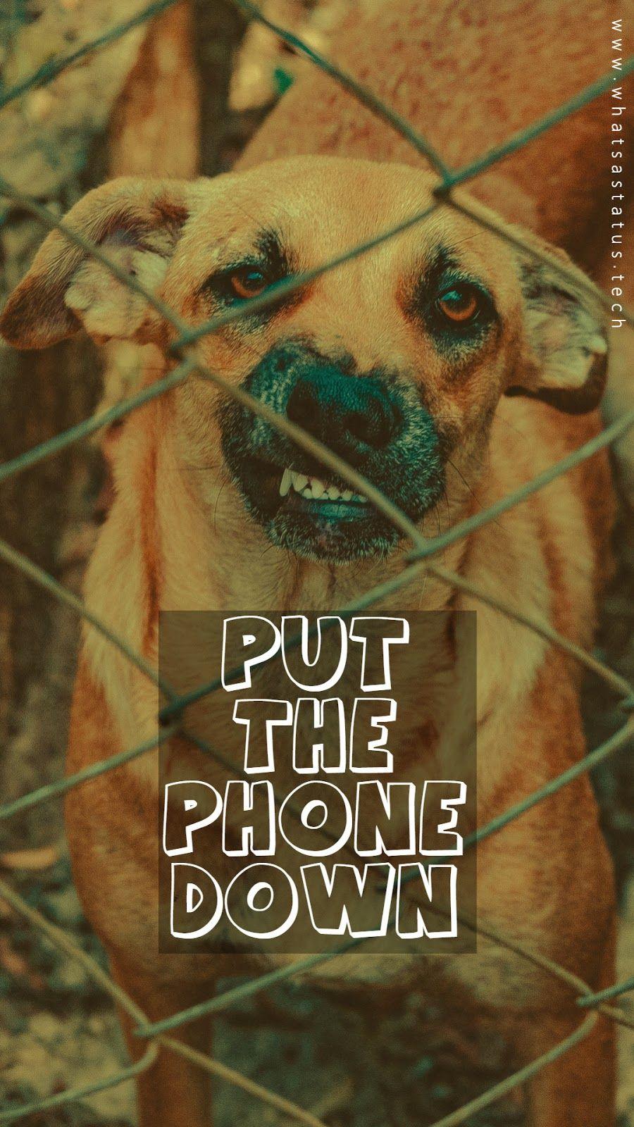 900x1600 Dont touch my phone wallpaper wallpaper