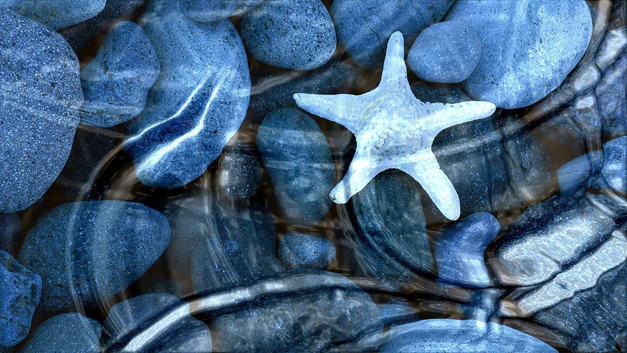 1280x720 Free download Movable Wallpaper Background [1280x720] for your Desktop, Mobile & Tablet. Explore Movable WallpaperD Moving Wallpaper Free, 3D Live Wallpaper Free Download, Free Animated Wallpaper Windows 10