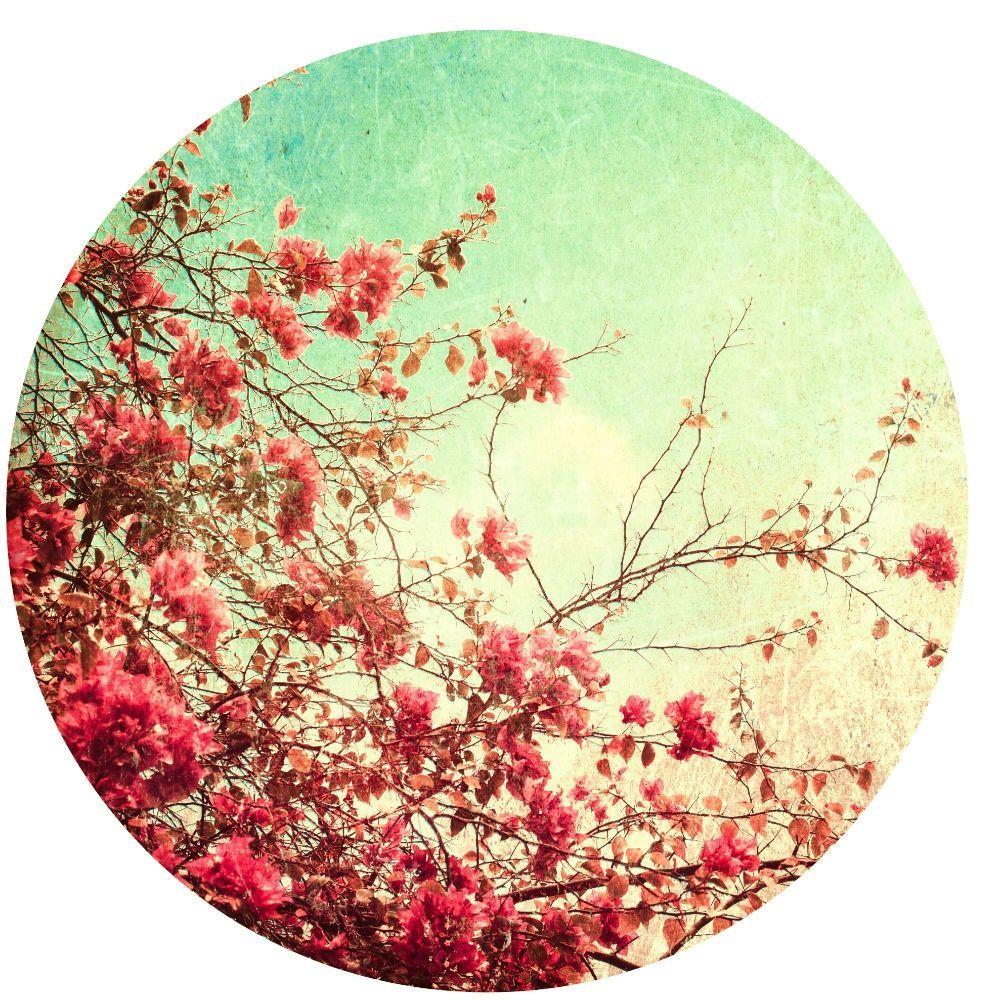 1000x1000 Bougainvillea Fabric Sticker. hardtofind. Vintage flowers wallpaper, Vintage floral background, Vintage desktop wallpaper