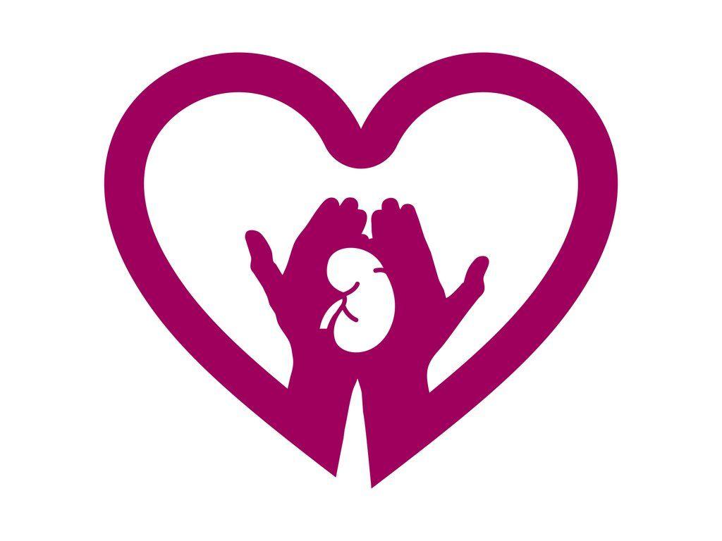 1024x768 Herbs To Nourish Your Kidneys