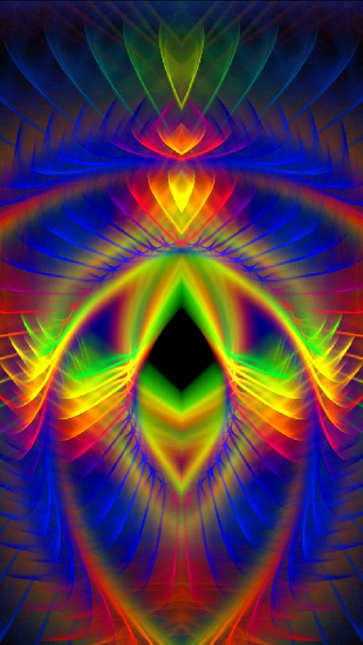 Kidney Wallpapers - Top Free Kidney Backgrounds - WallpaperAccess