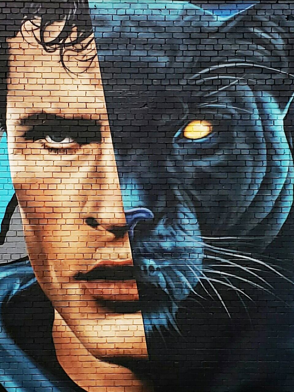 959x1280 Luke Kuechly Panther wallpaper