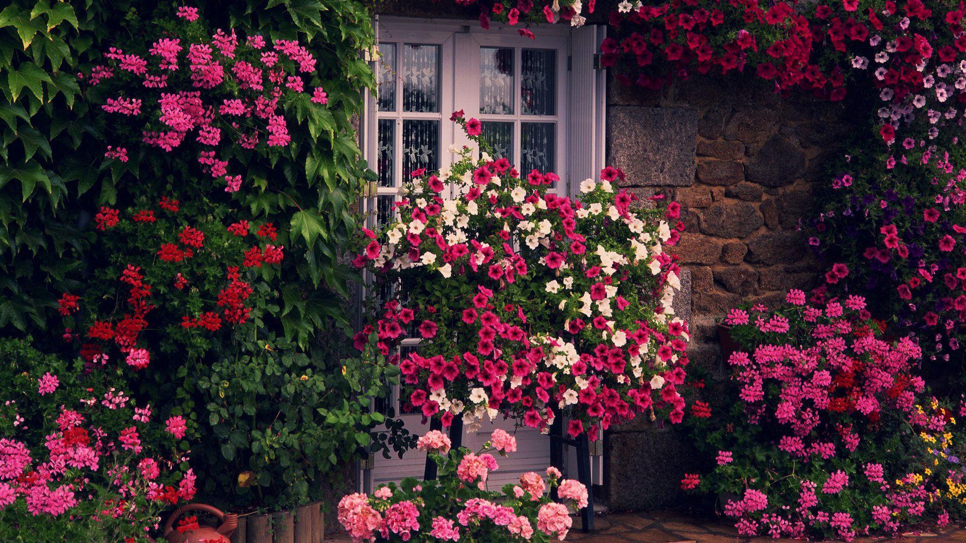 English Cottage Garden Wallpapers - Top Free English Cottage Garden ...