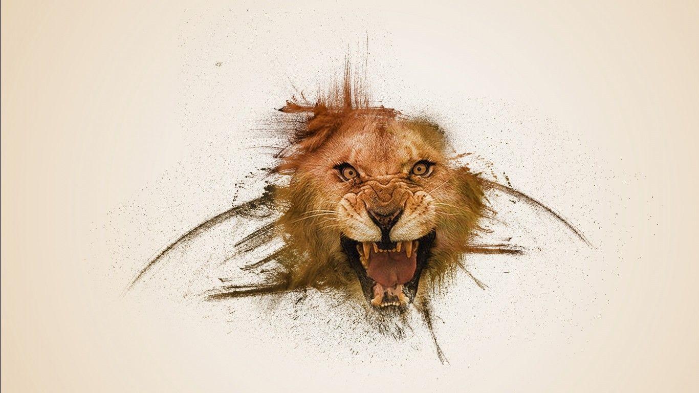 1366x768 Face Of Lion Predator With White Background 4K HD Lion Wallpaper