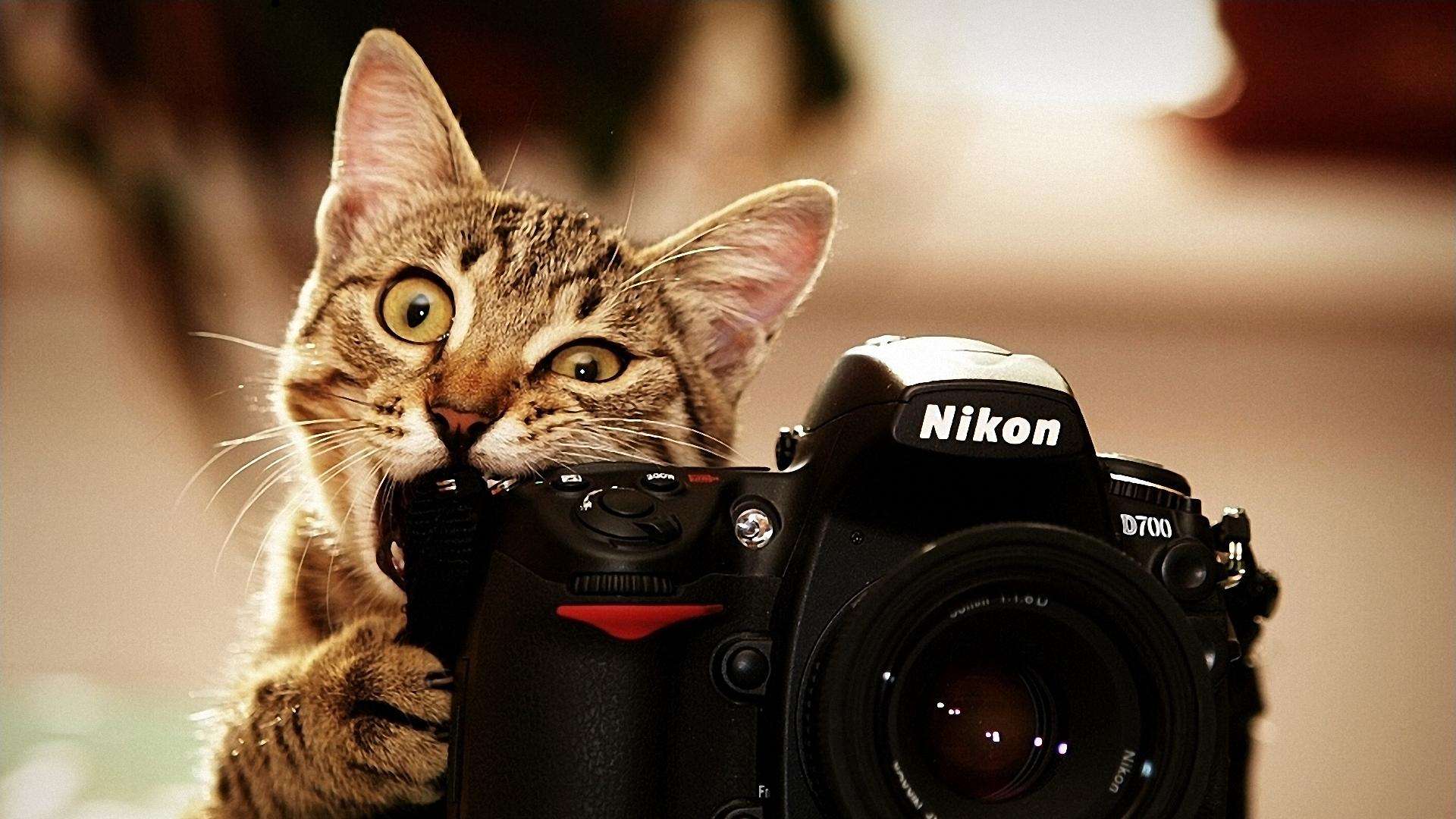 1920x1080 Nikon wallpaperx1080