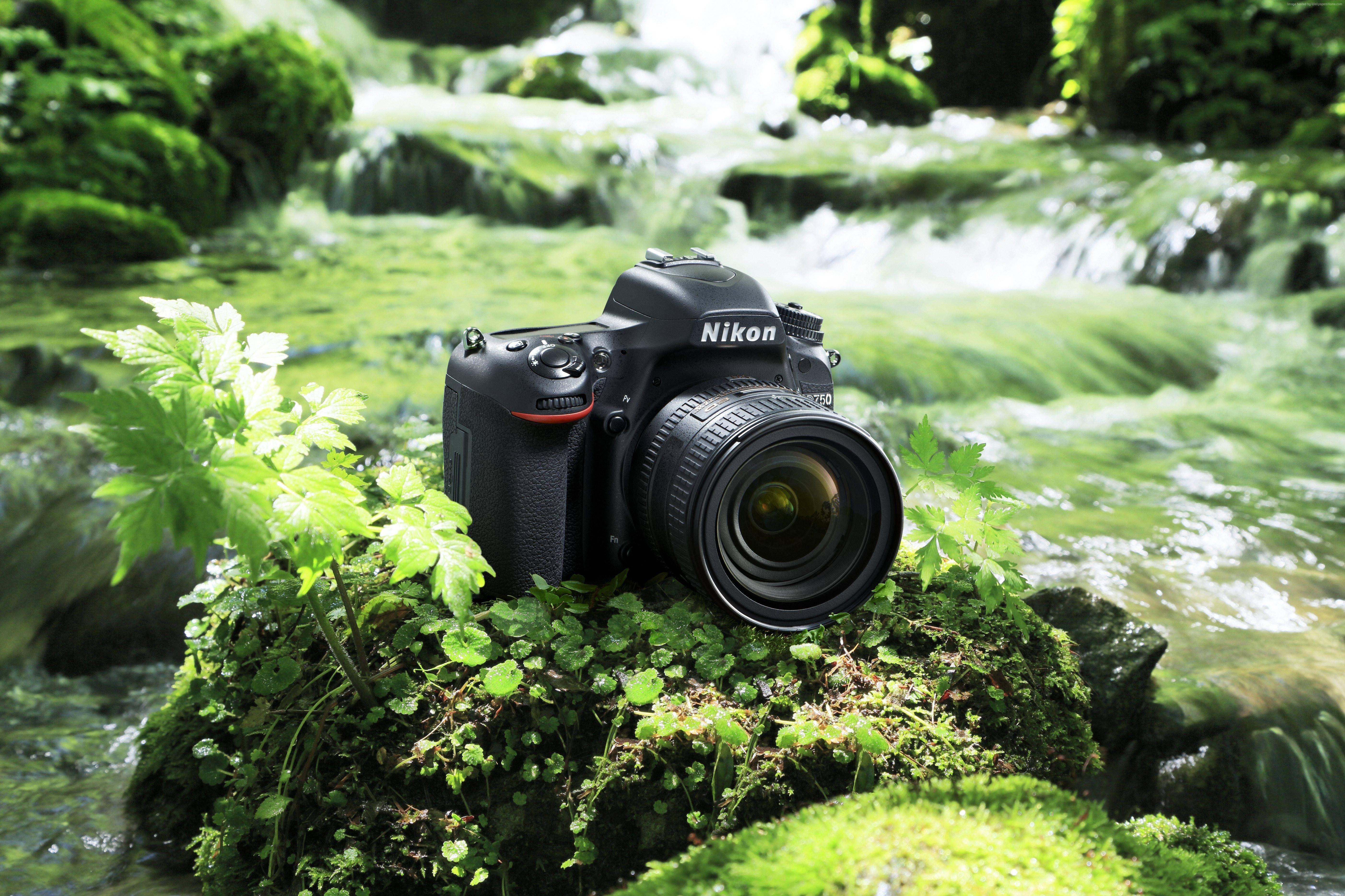 5609x3739 Nikon DSLR Cemara New Brand MaxKart UK. Dslr camera reviews, Dslr, Nikon d750