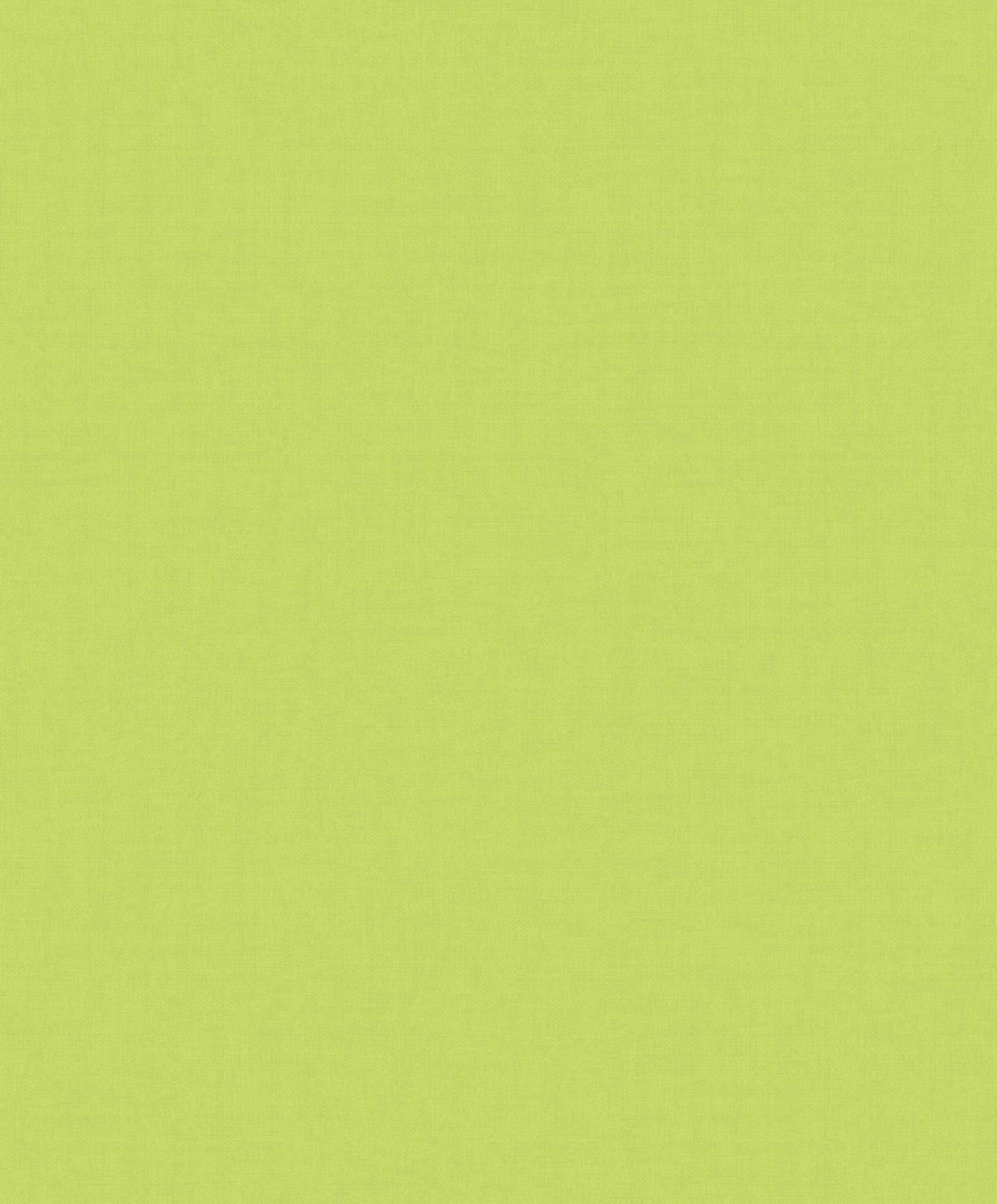 Hình nền màu xanh lá cây trơn 1920x2319