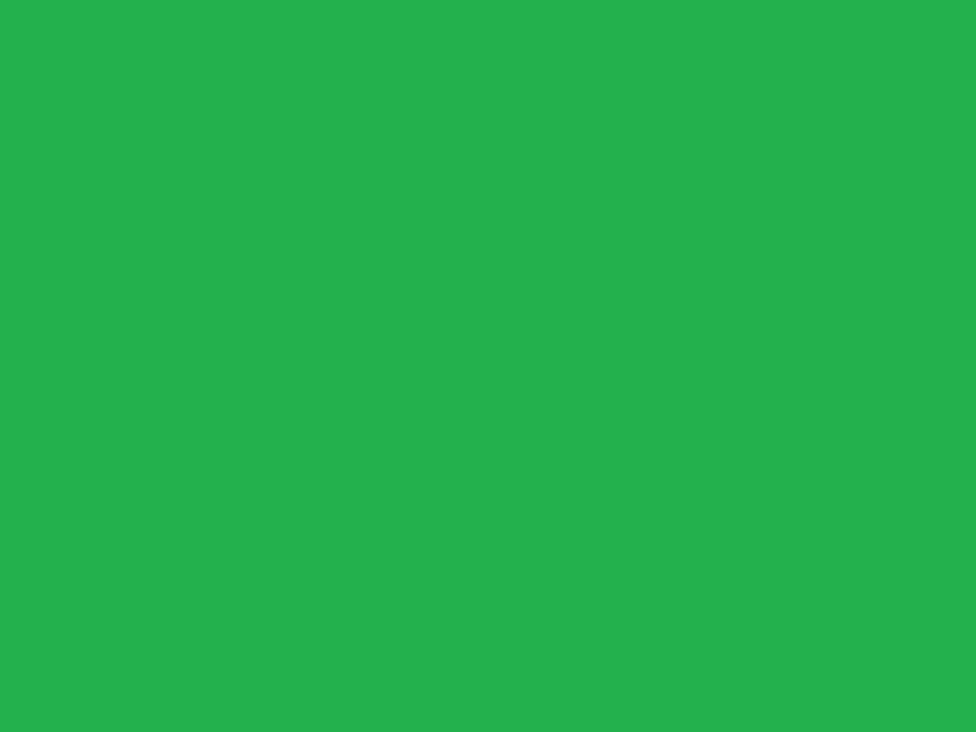Hình nền màu xanh lá cây trơn 1920x1440