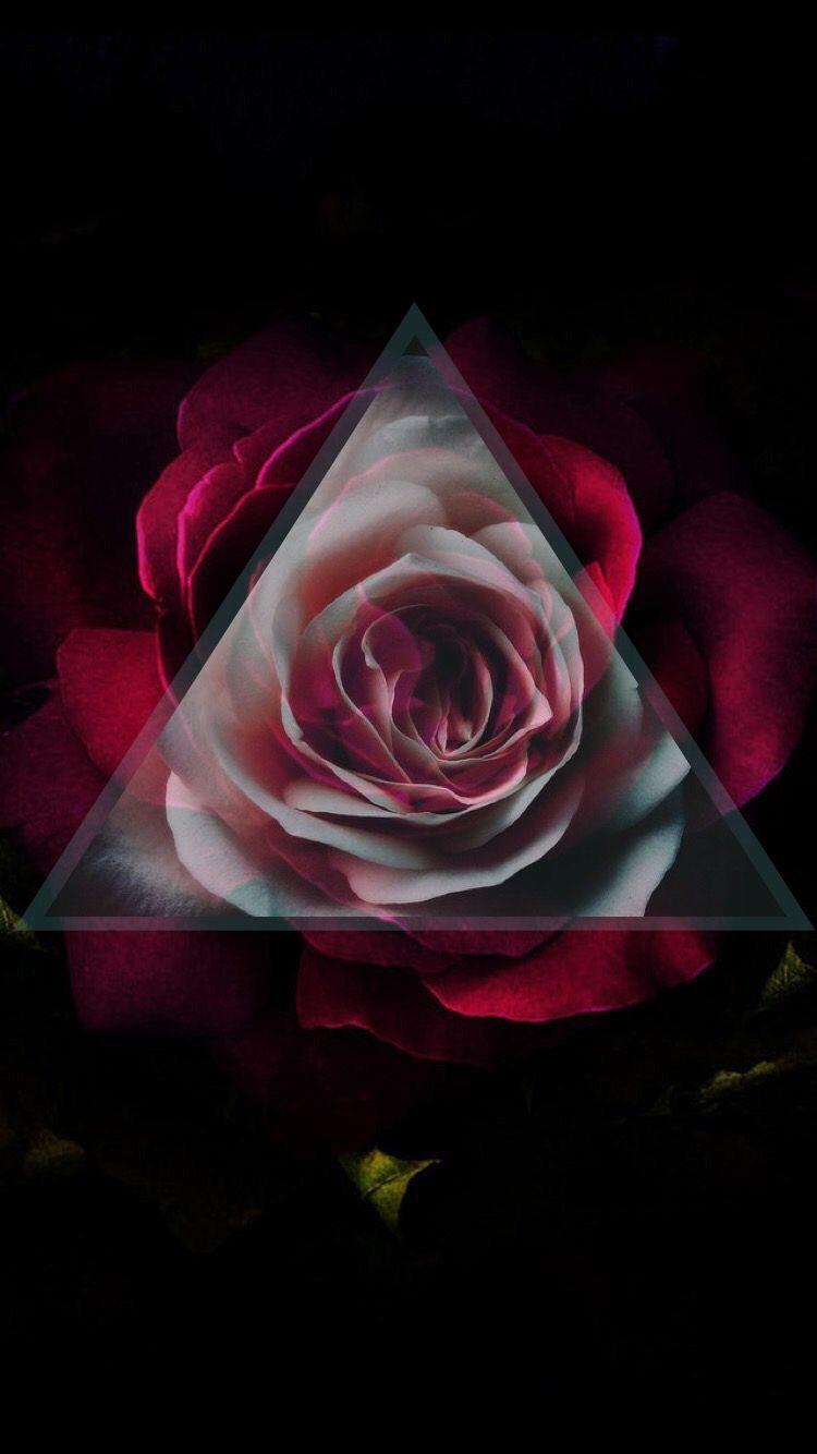 750x1334 Black Gothic Rose Wallpaper