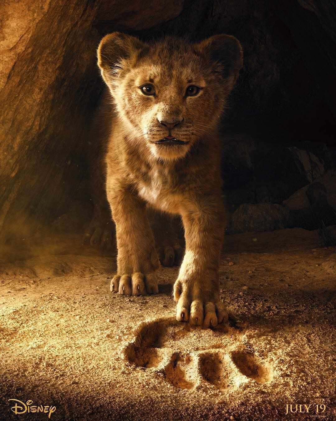 1080x1350 High Resolution Lion Wallpaper 4k