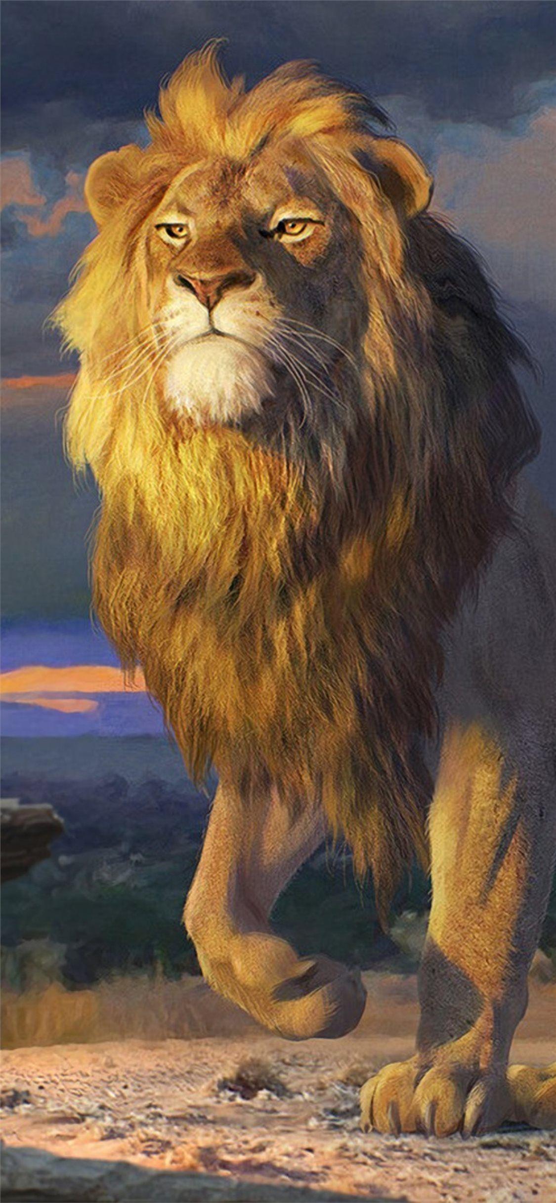 Cute Lion Iphone Wallpapers Top Free Cute Lion Iphone Backgrounds Wallpaperaccess