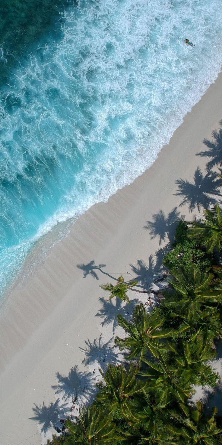 736x1472 PUNTA CANA SCUBADOO AND PANORAMIC ONE. Beach wallpaper, Ocean wallpaper, Summer wallpaper