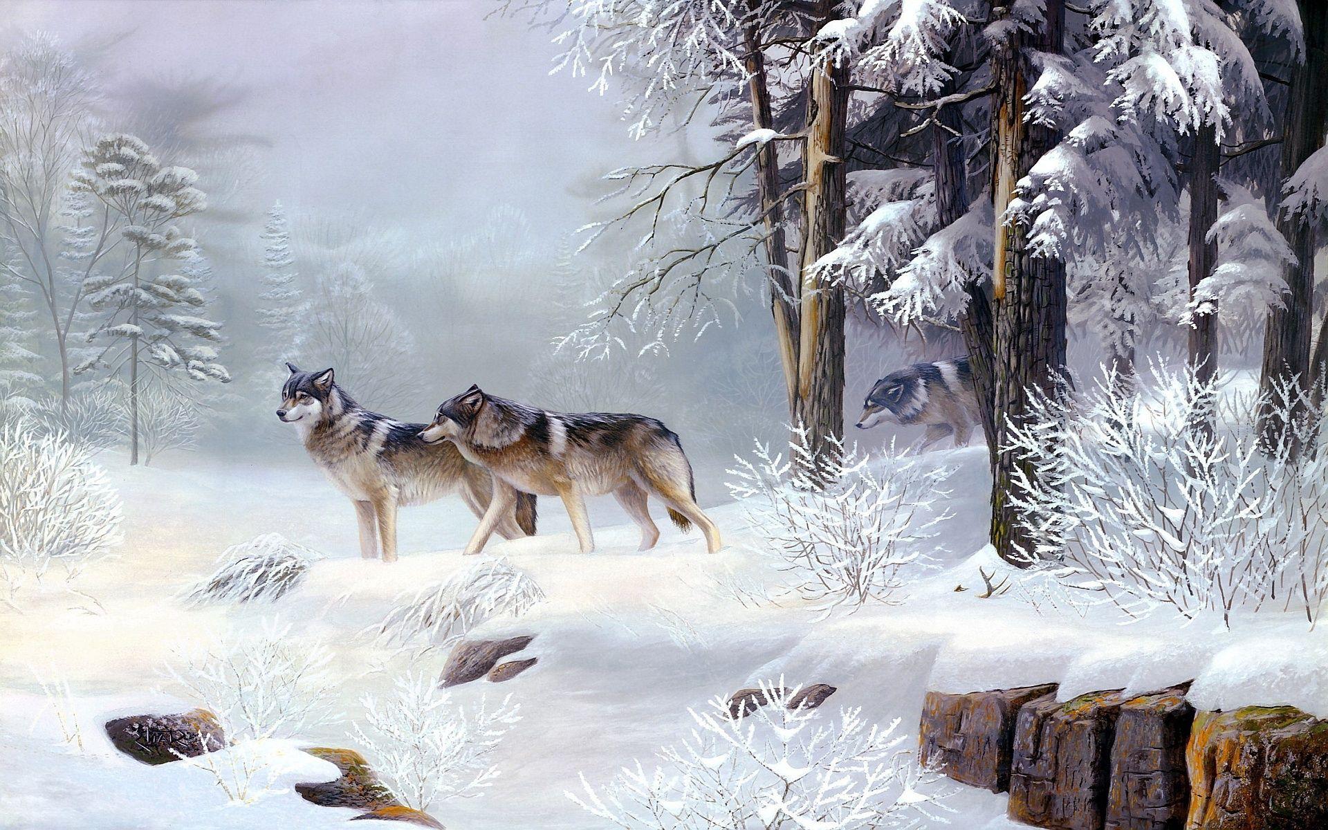 1920x1200 Winter Wolves