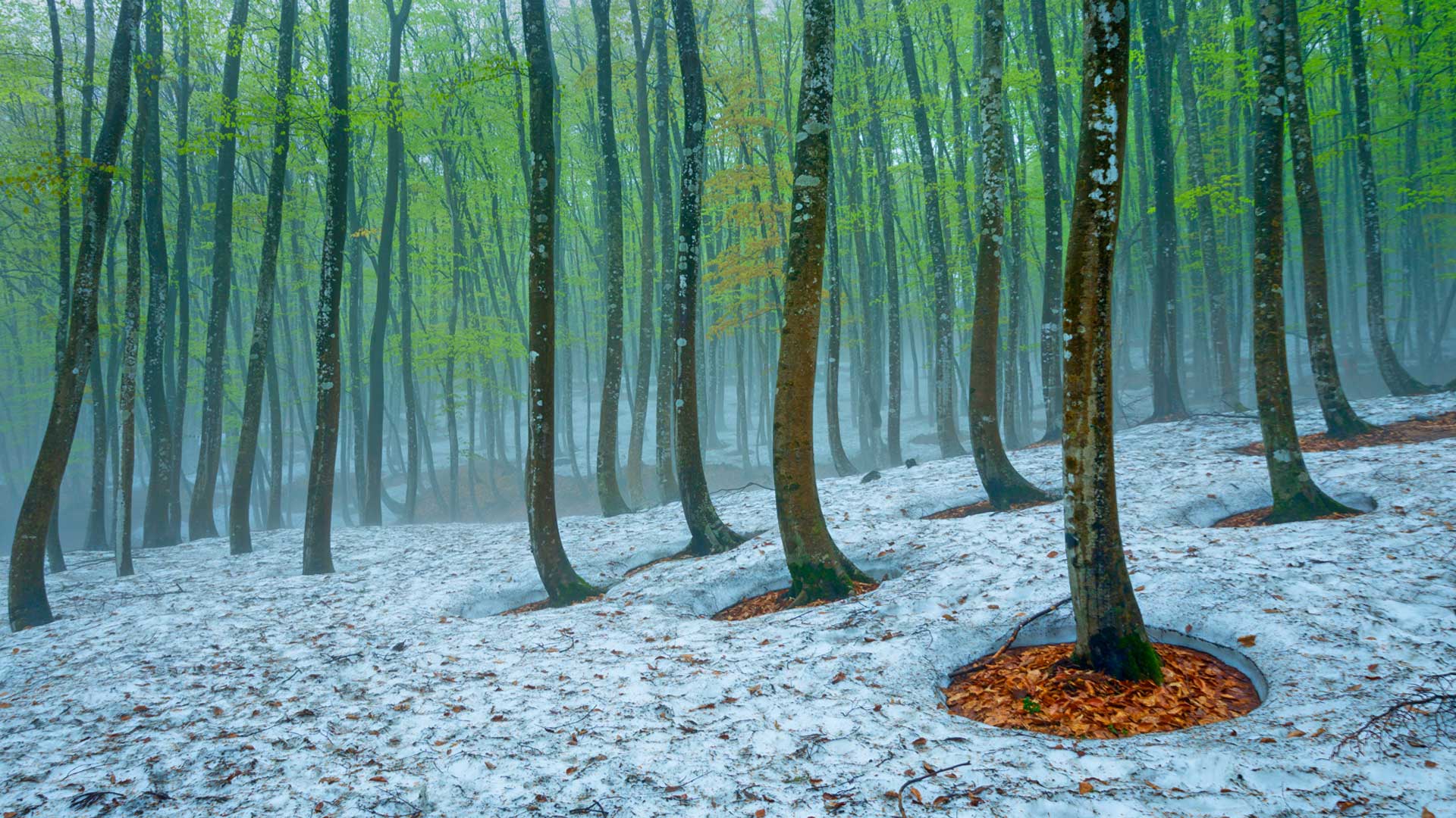 1920x1080 Best Bing Wallpaper 21 - [1920 x 1080]
