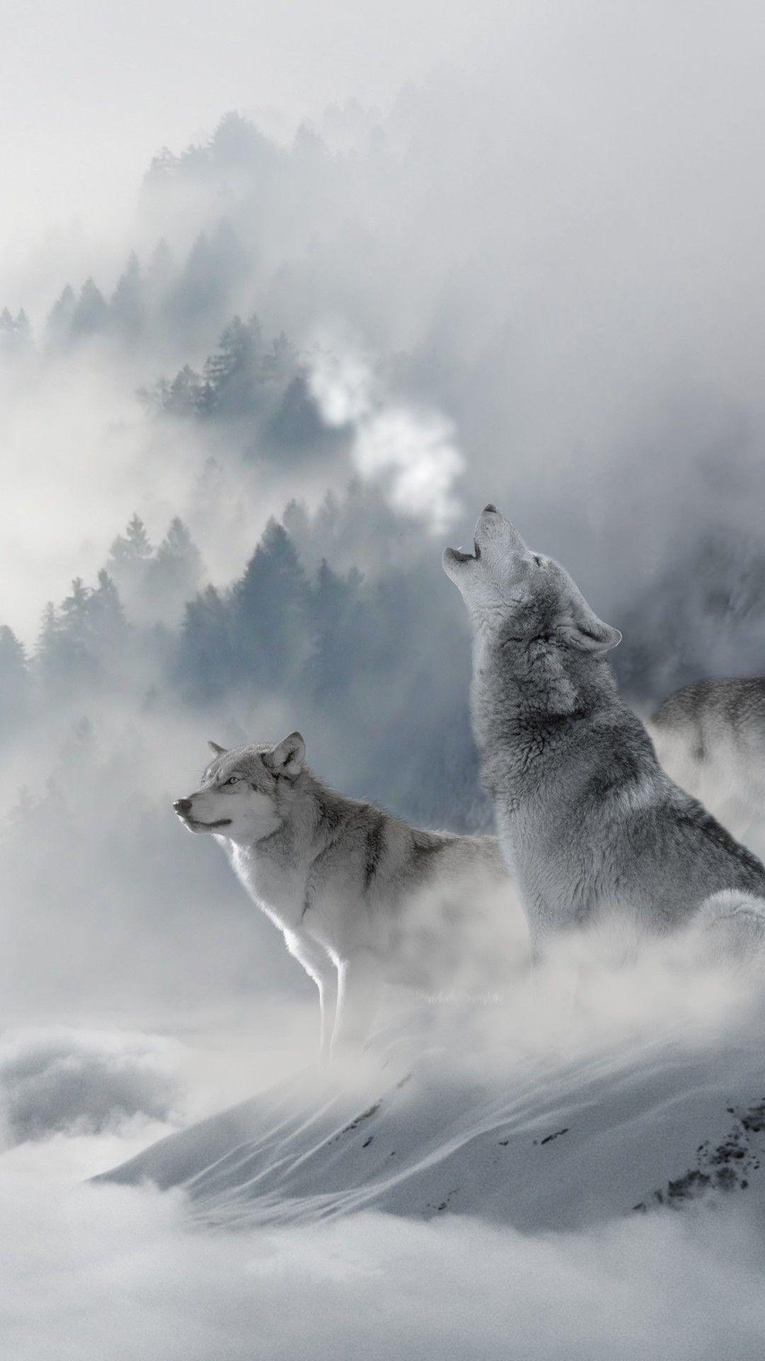 1080x1920 Snow Winter Wolf Wallpaper