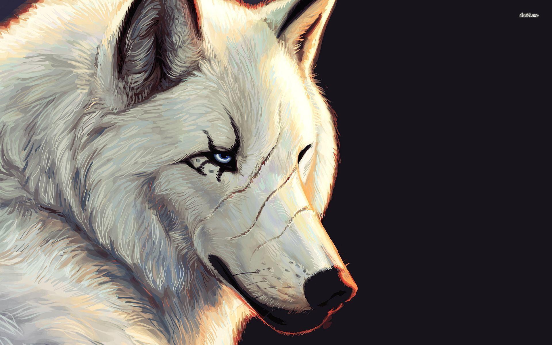 1920x1200 White Wolf