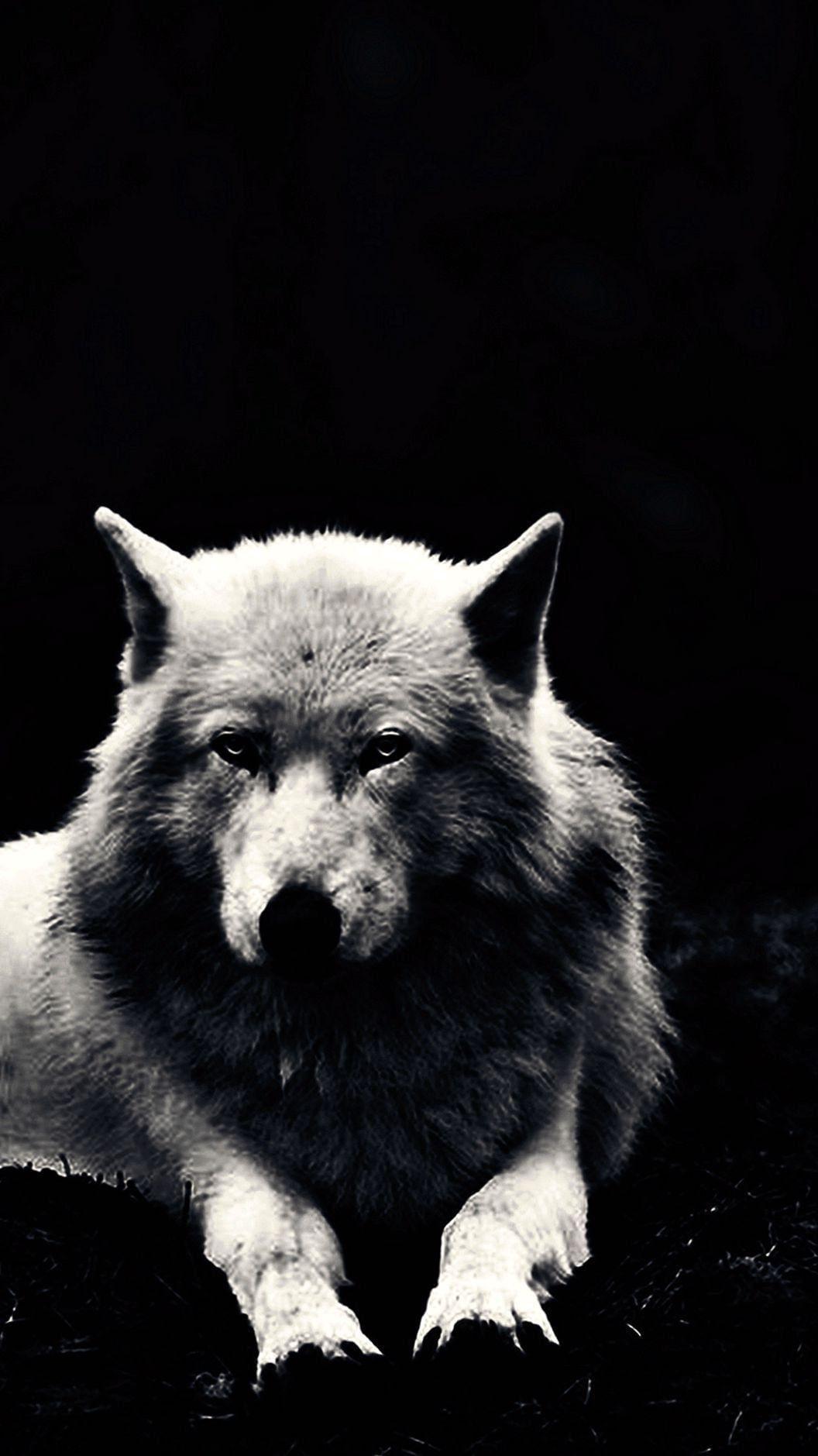 1056x1879 Winter Wolf Wallpaper