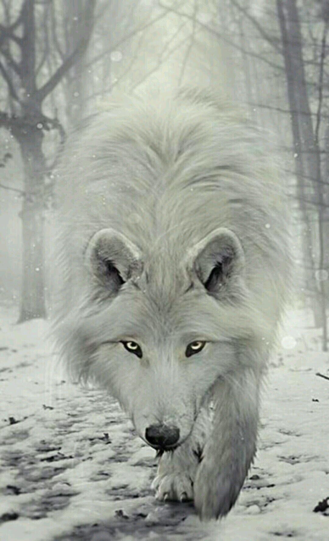 1080x1776 Winter Wolf Wallpaper