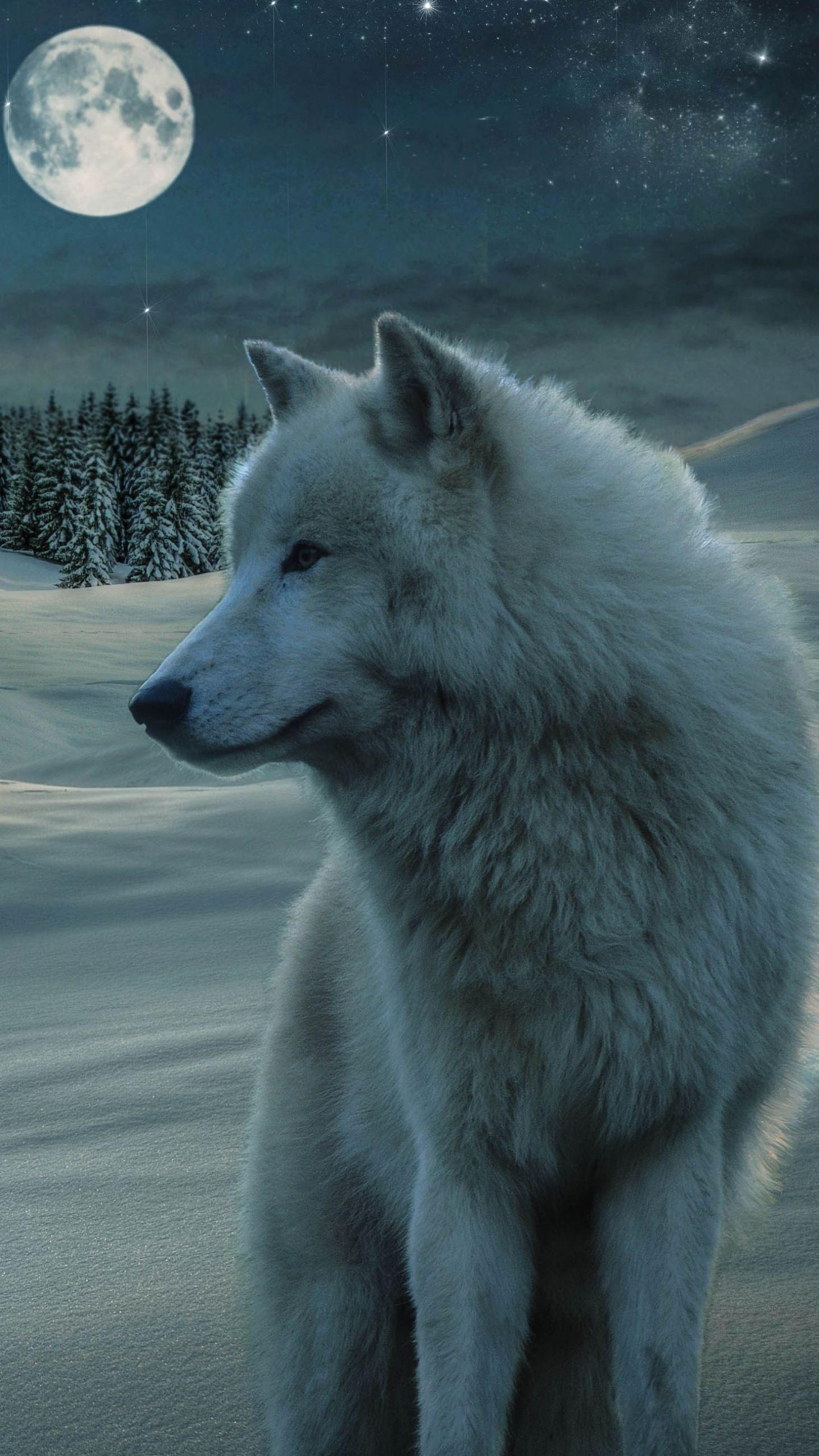 1440x2560 White Wolf Wallpaper Download
