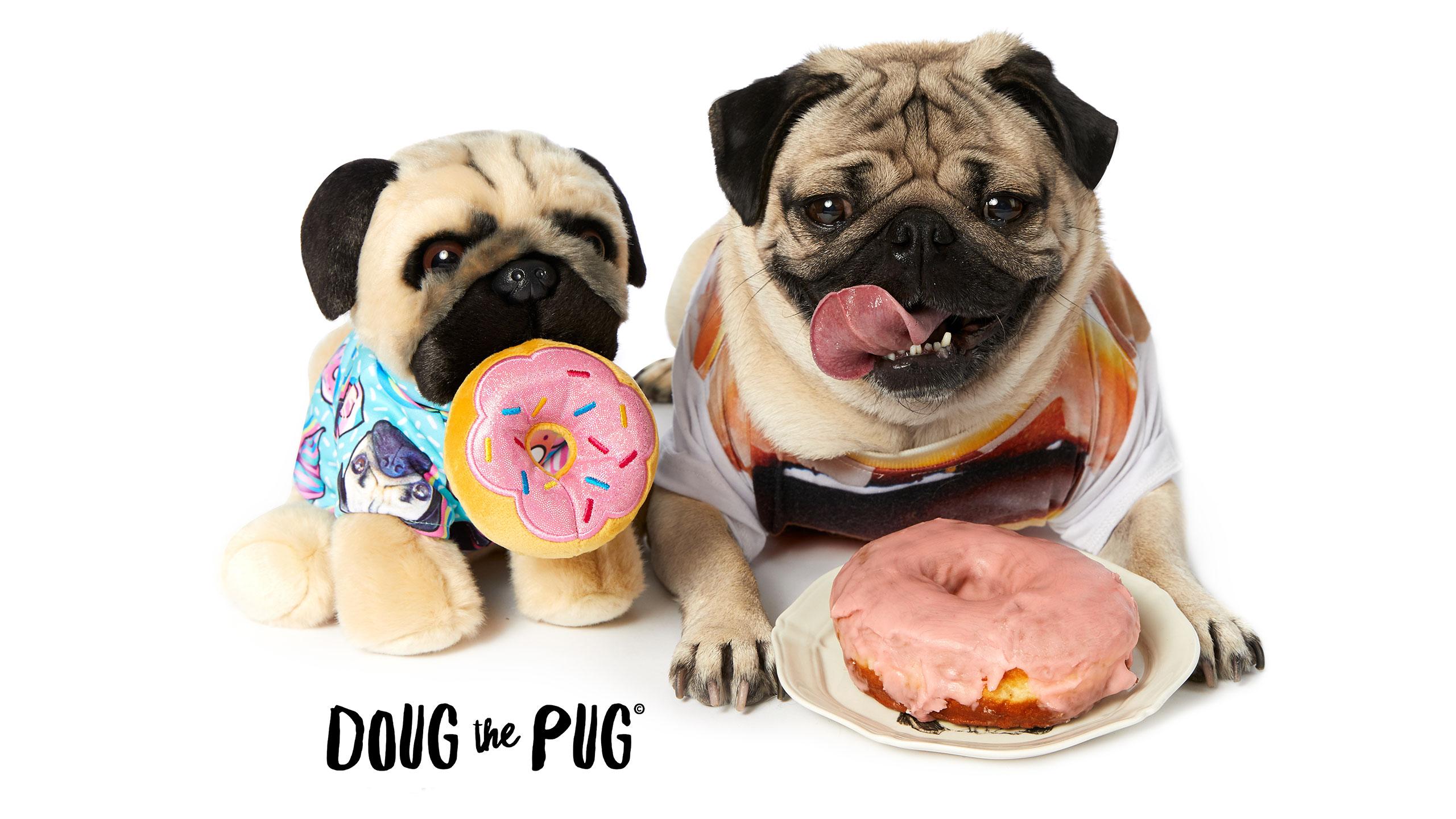 Donut Pug Wallpapers - Top Free Donut Pug Backgrounds - WallpaperAccess