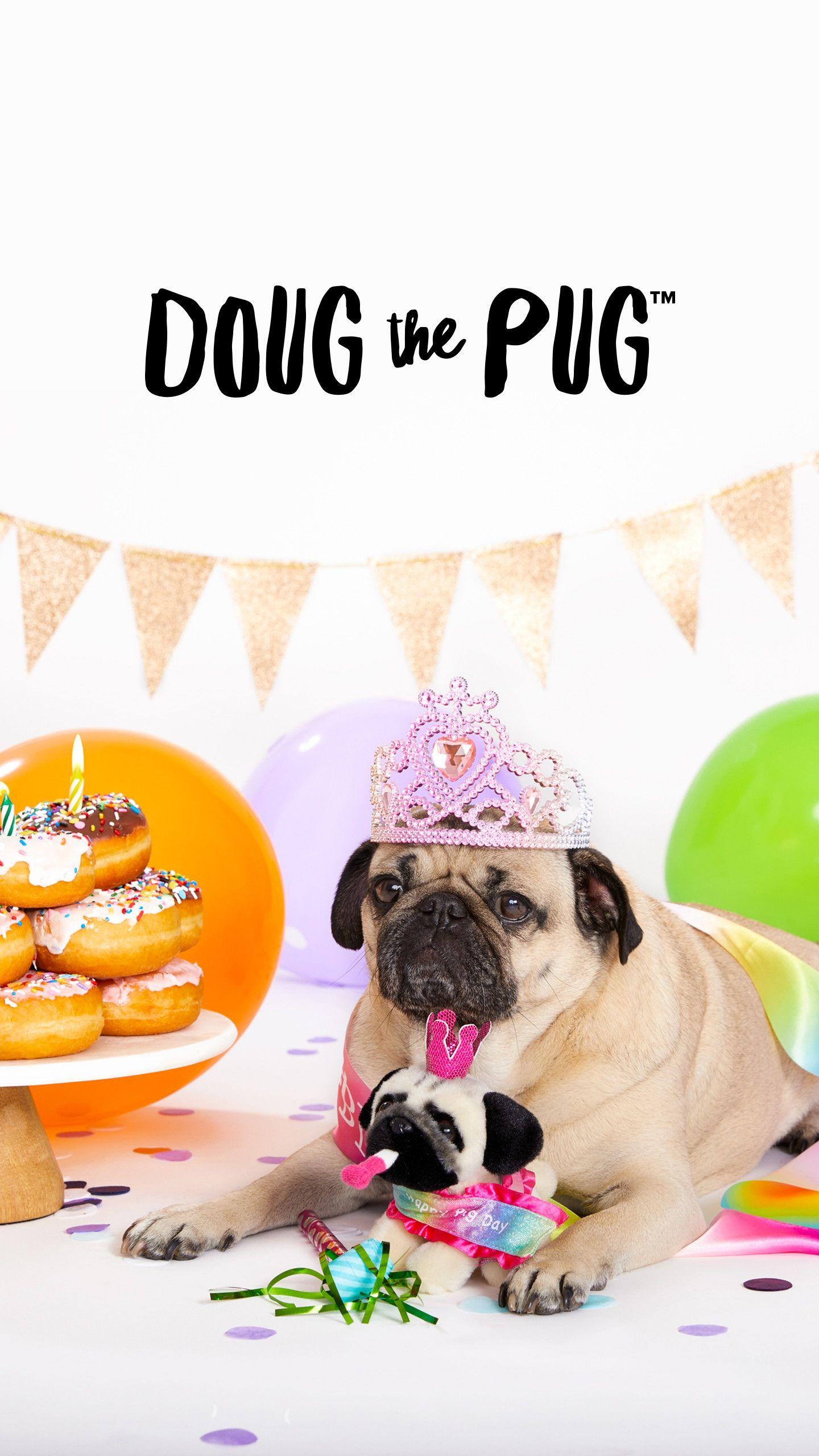 Donut Pug Wallpapers - Top Free Donut Pug Backgrounds - WallpaperAccess