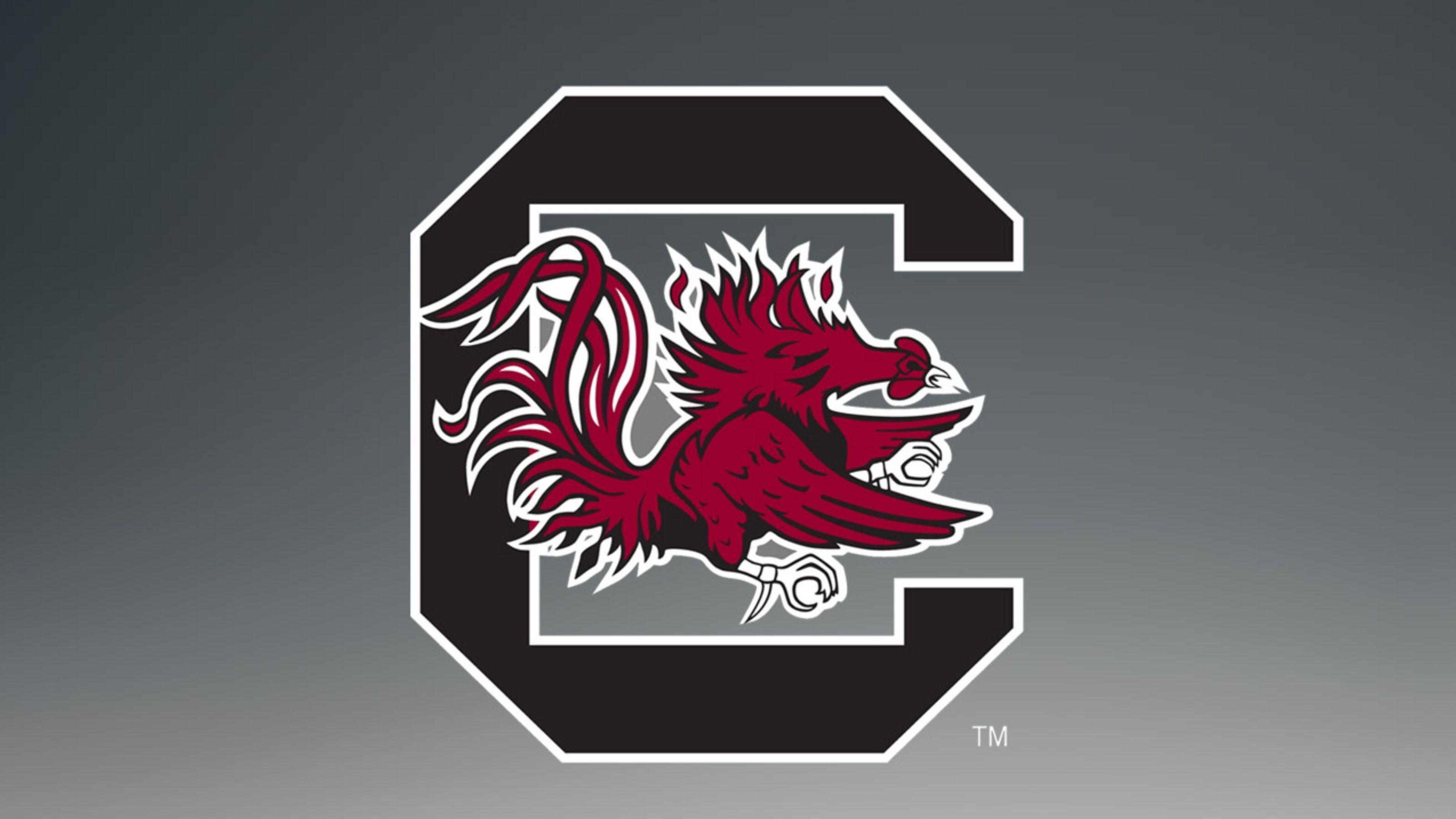 3200x1800 USC Gamecocks Wallpaper