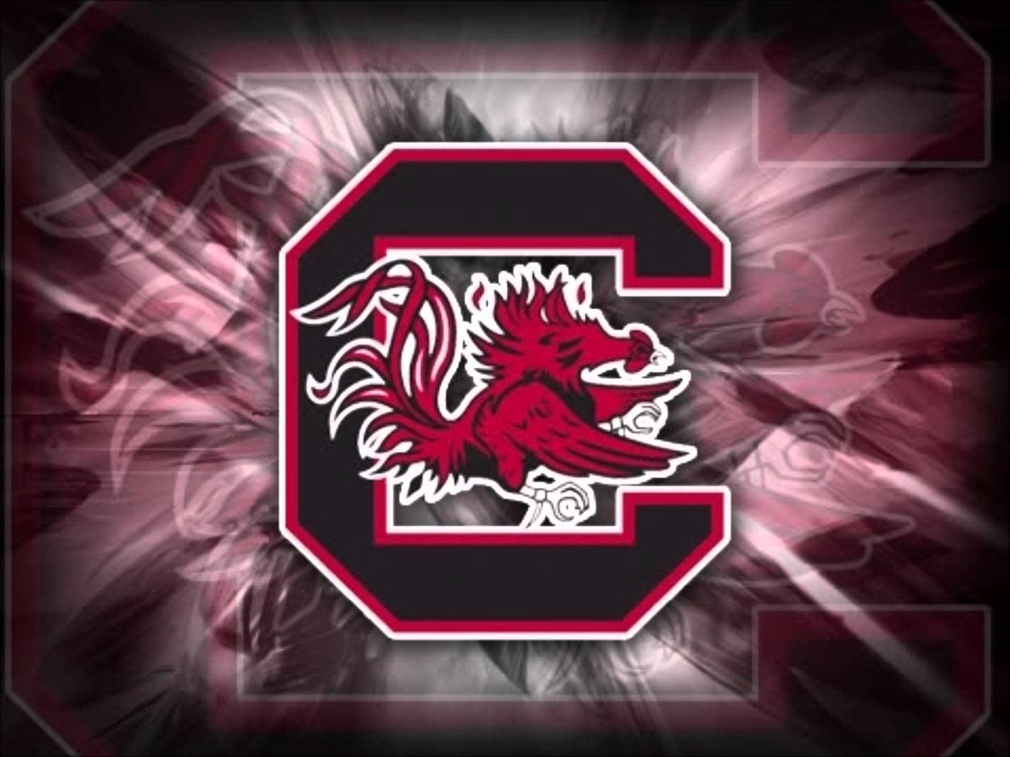 Carolina Gamecocks Wallpapers Top Free Carolina Gamecocks Backgrounds