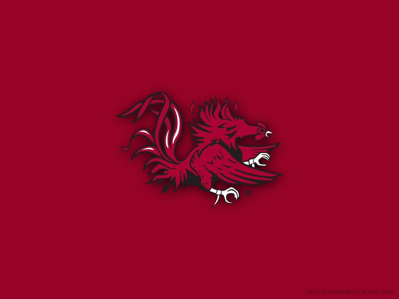 South Carolina Gamecocks Wallpapers - Top Free South Carolina Gamecocks