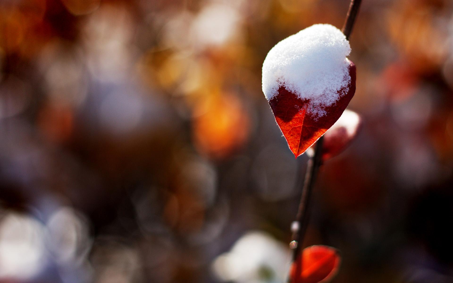 Red Snow Wallpapers - Top Free Red Snow Backgrounds - WallpaperAccess