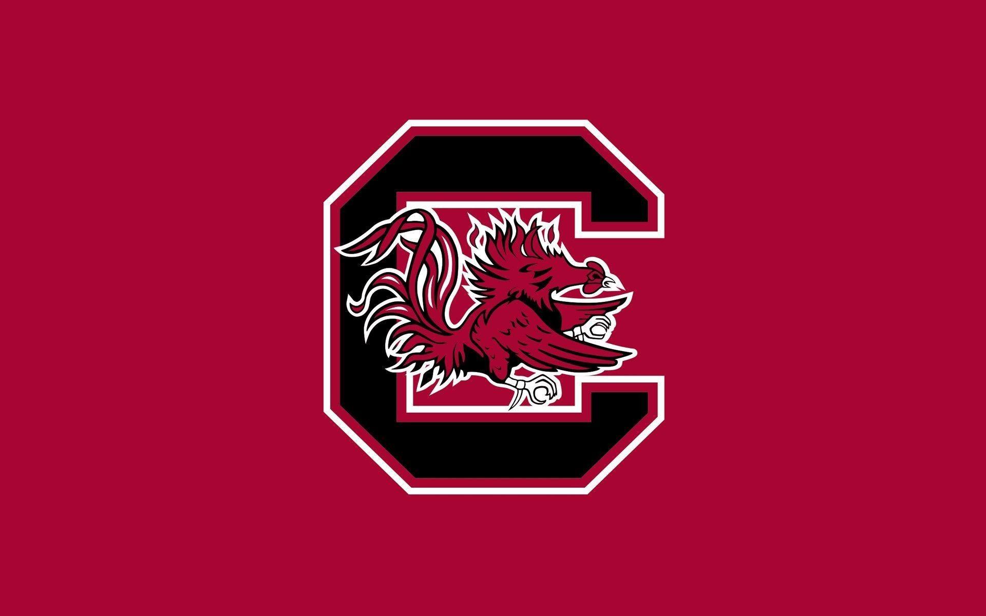 1920x1200 South Carolina Gamecock Wallpaper Data Src Of South Carolina Desktop HD Wallpaper