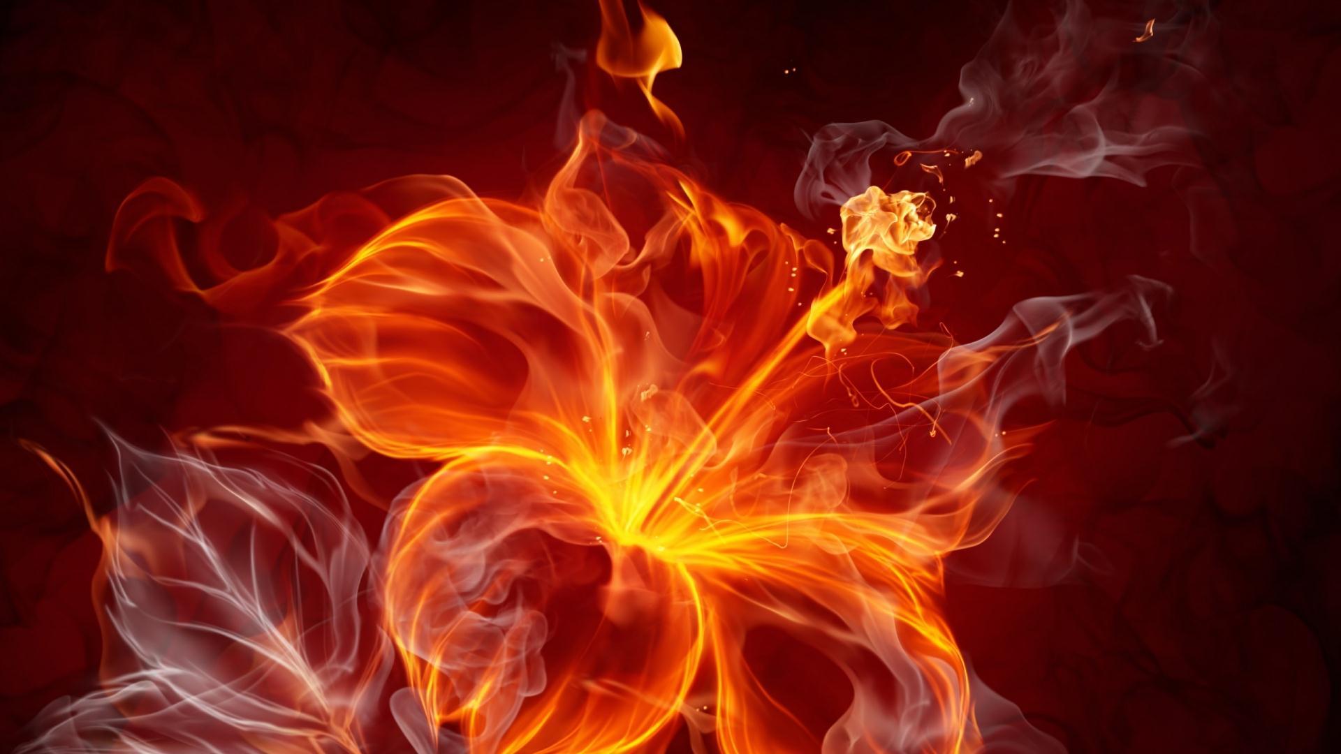 1920x1080 Fire Flowers Wallpaper HD