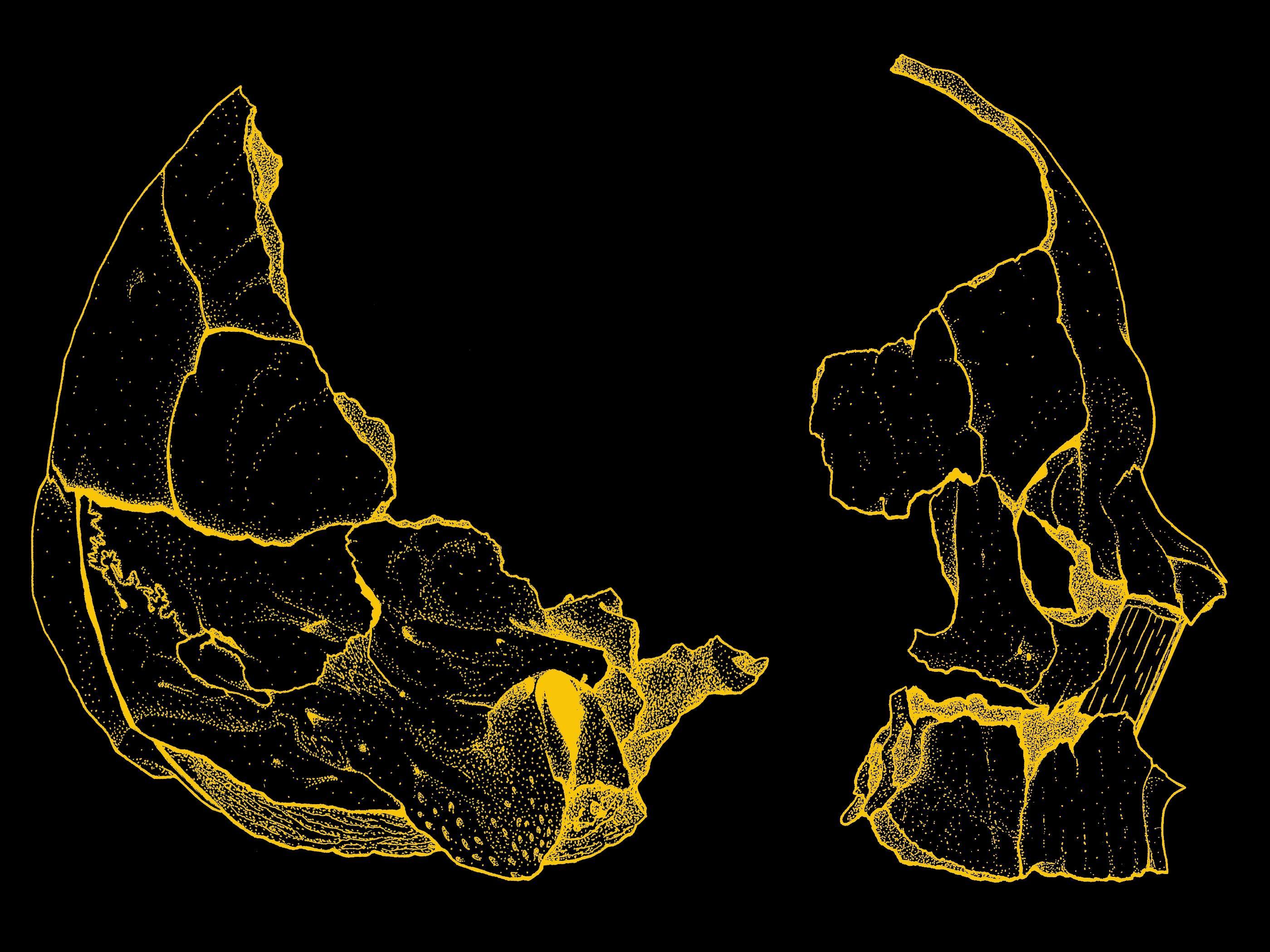 2800x2100 Skull Aesthetic Wallpaper